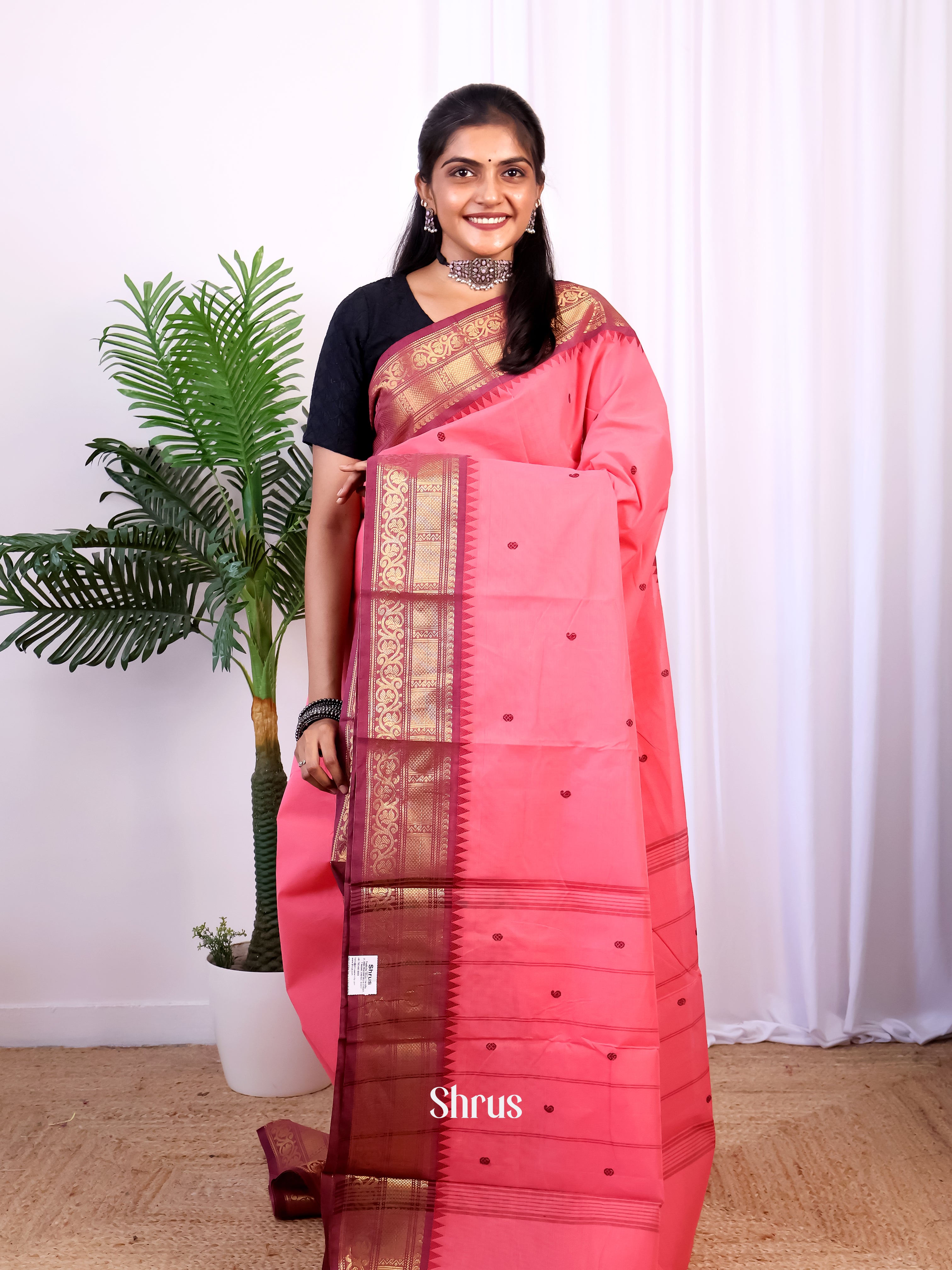 Pink & Purple - Chettinad Cotton Saree - Shop on Shrus.com