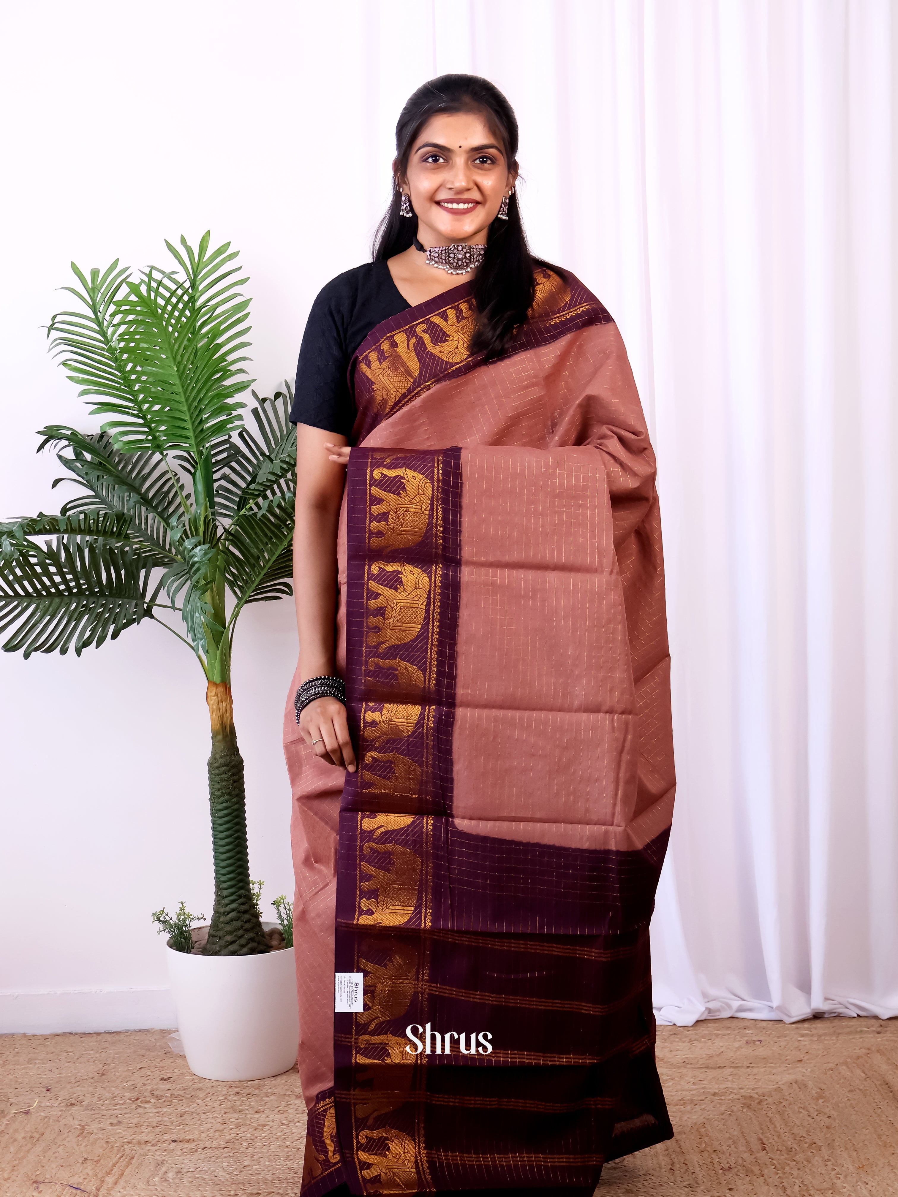 CIS29141 - Chettinad Cotton Saree - Shop on Shrus.com