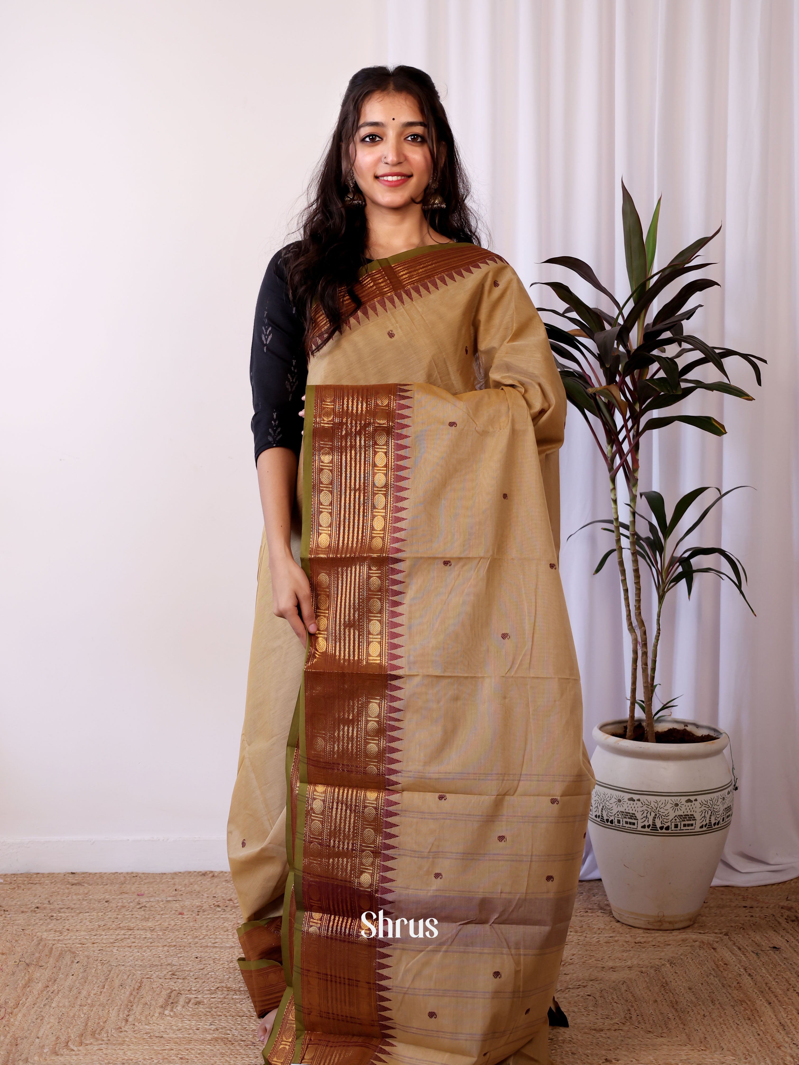 Beige & Brown - Chettinad Cotton Saree - Shop on Shrus.com