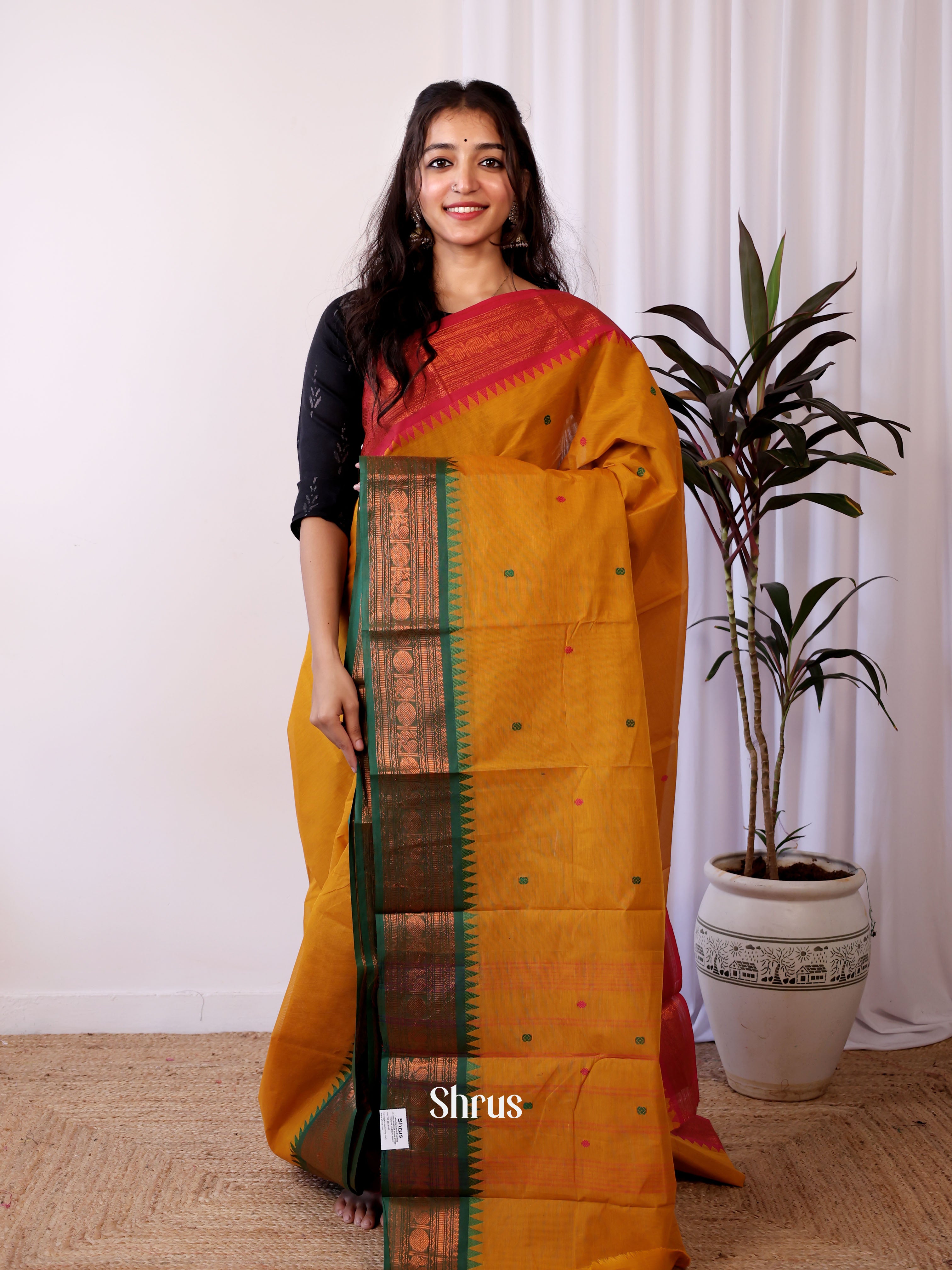 Mustard & Green - Chettinad Cotton Saree - Shop on Shrus.com