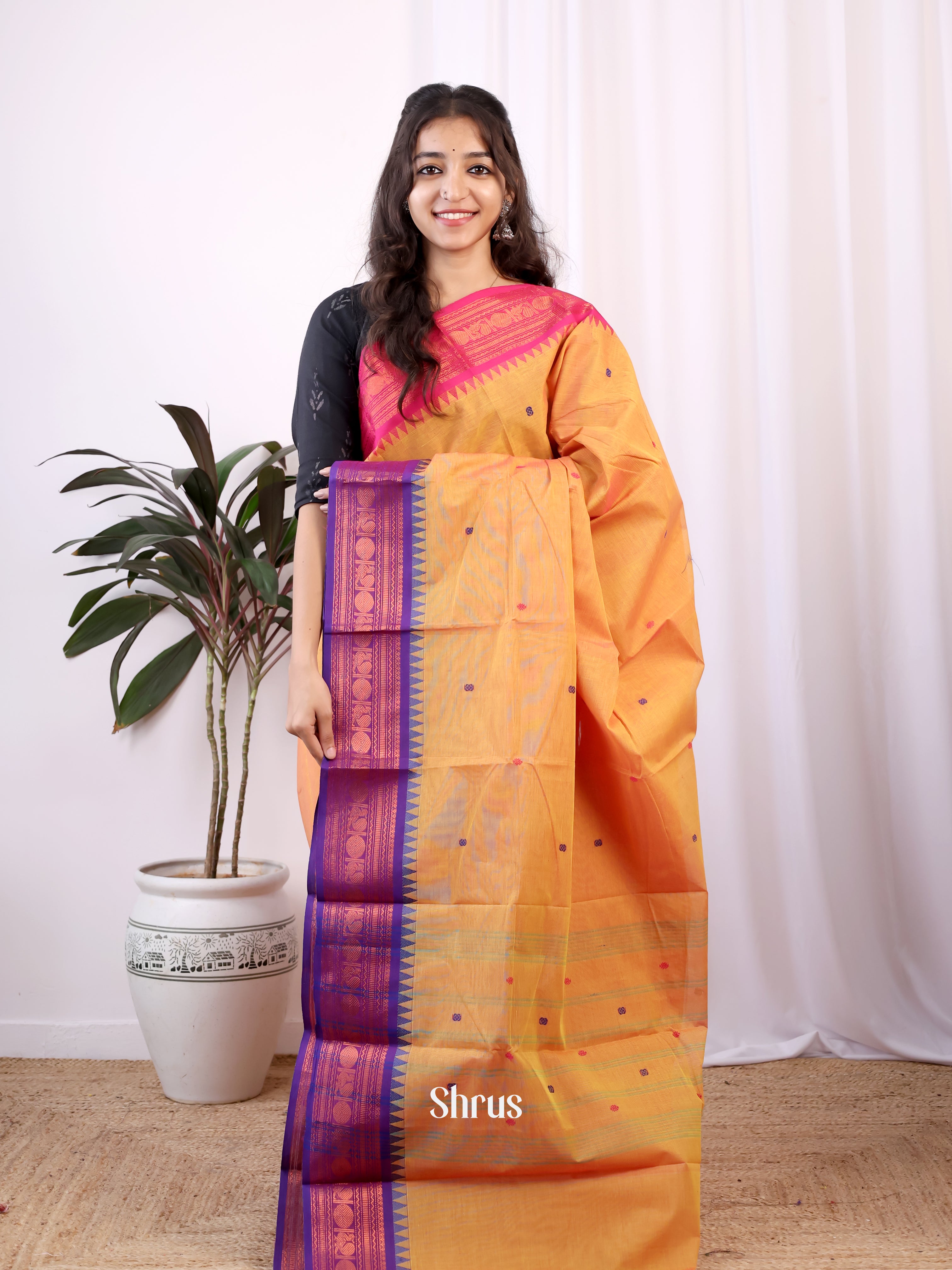 Orange & Purple - Chettinad Cotton Saree - Shop on Shrus.com