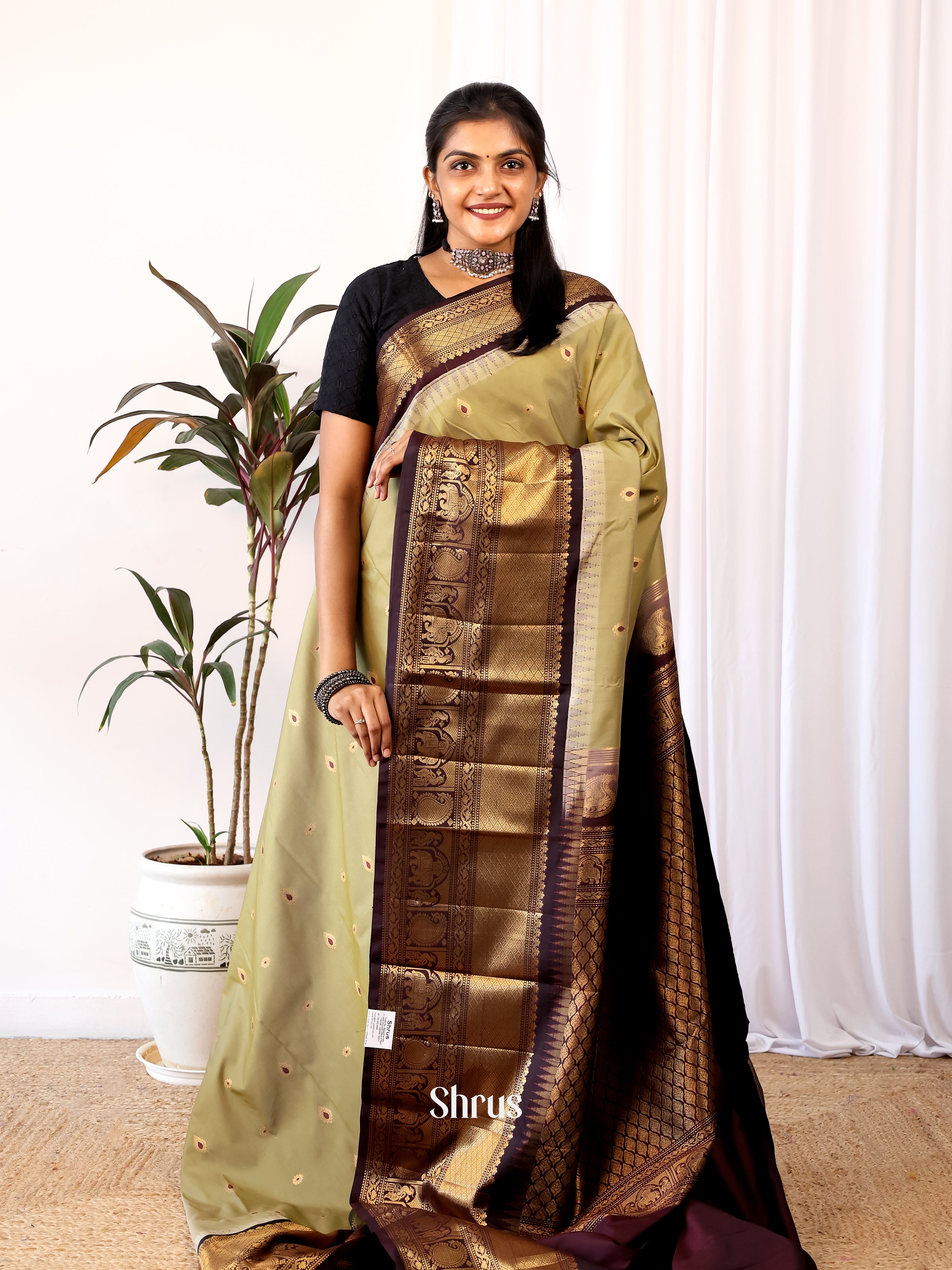 Elachi & Brown- Gadwal halfpure Saree - Shop on Shrus.com