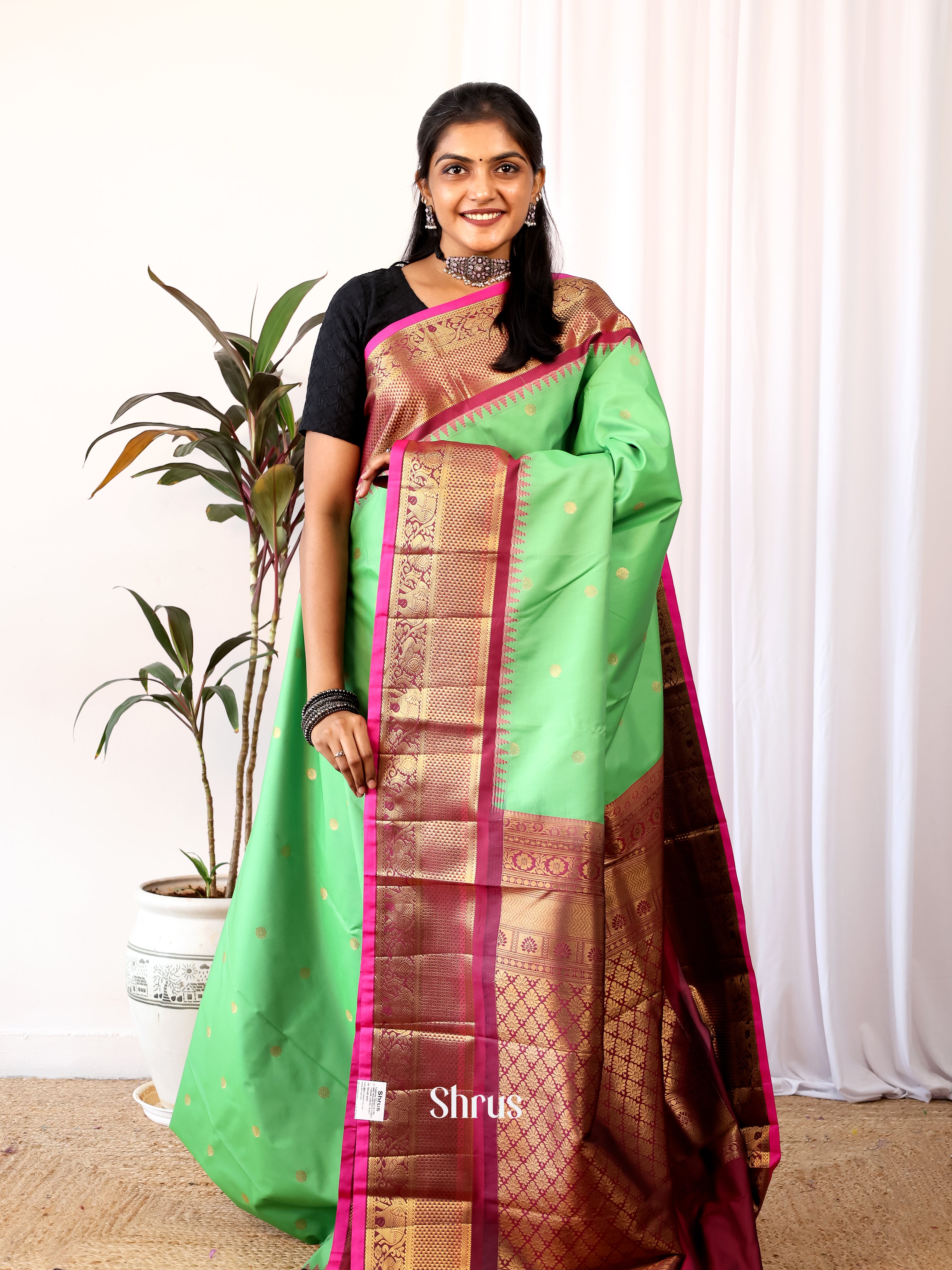 Pista Green & Purple - Gadwal halfpure Saree - Shop on Shrus.com