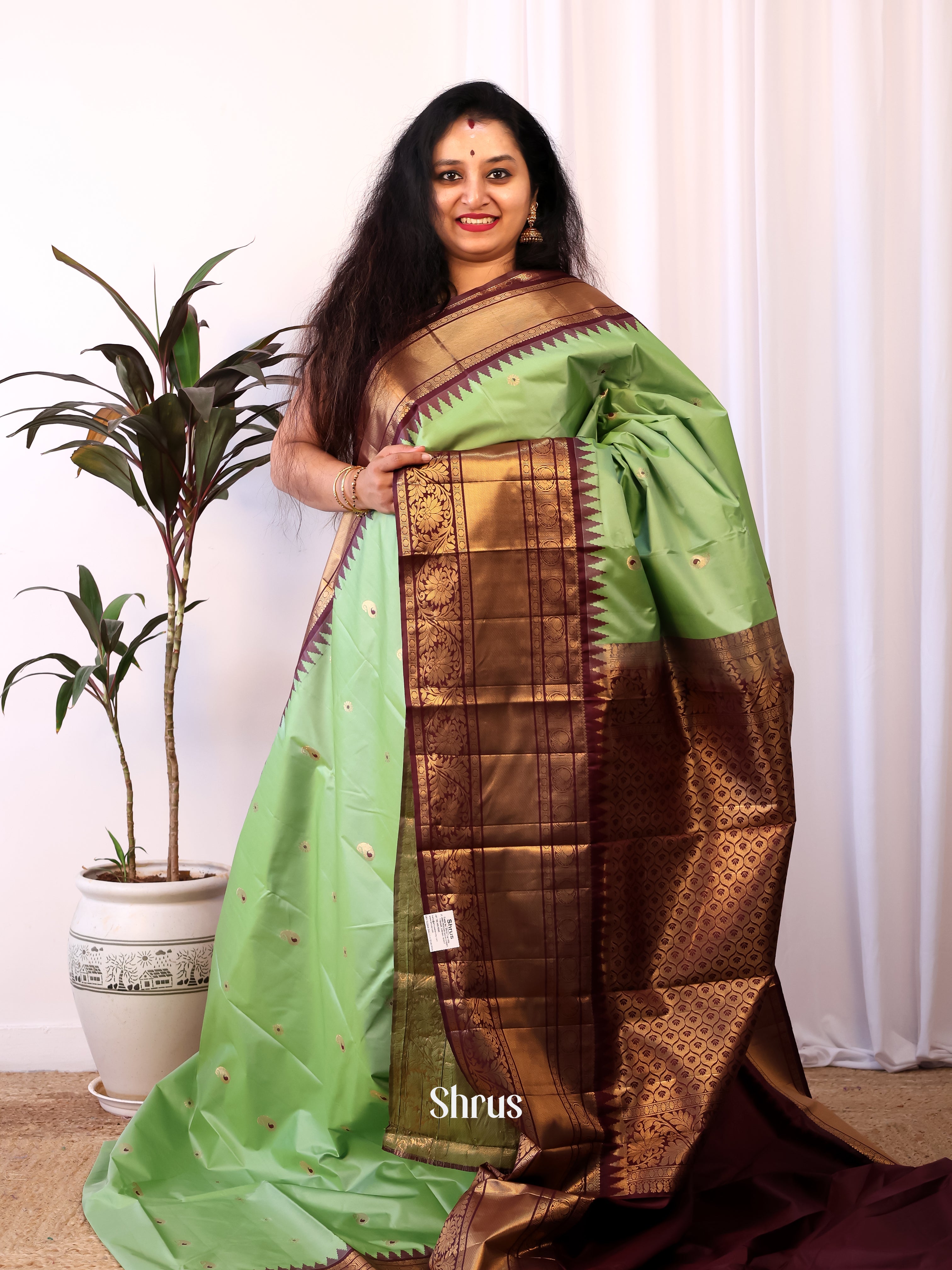 Pista Green & Brown - Gadwal halfpure Saree - Shop on Shrus.com