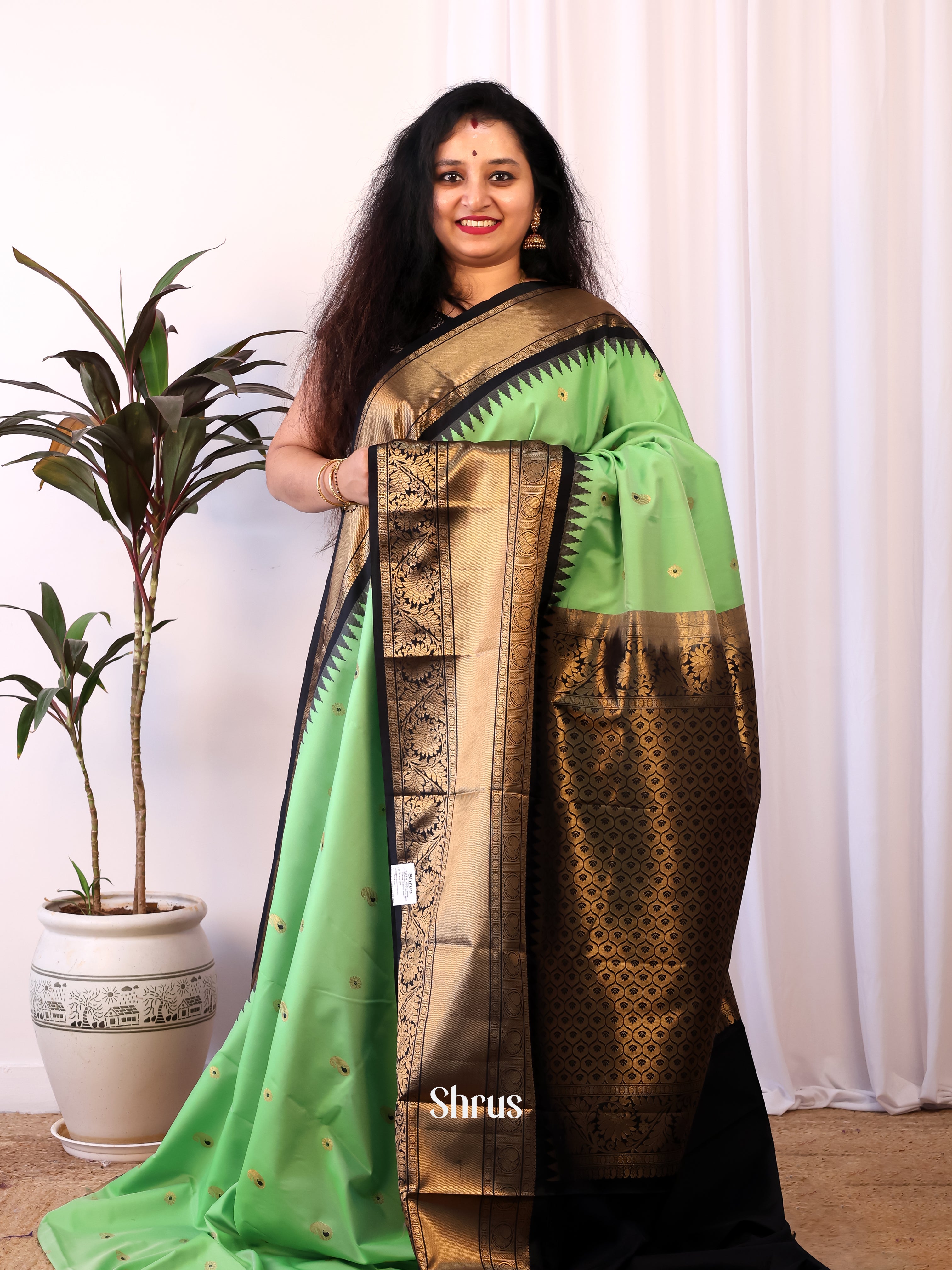Pista Green & Black - Gadwal halfpure Saree - Shop on Shrus.com
