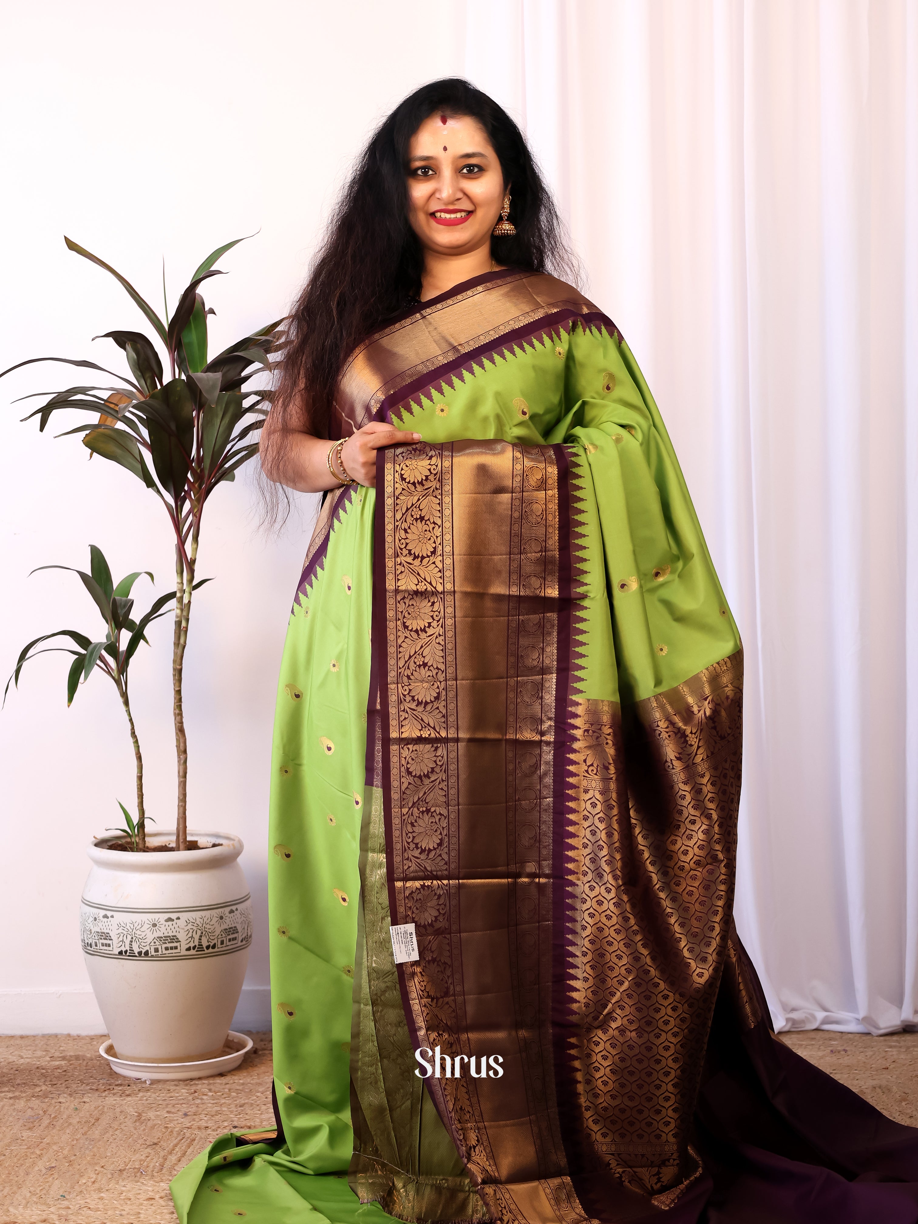 Green & Brown - Gadwal halfpure Saree - Shop on Shrus.com