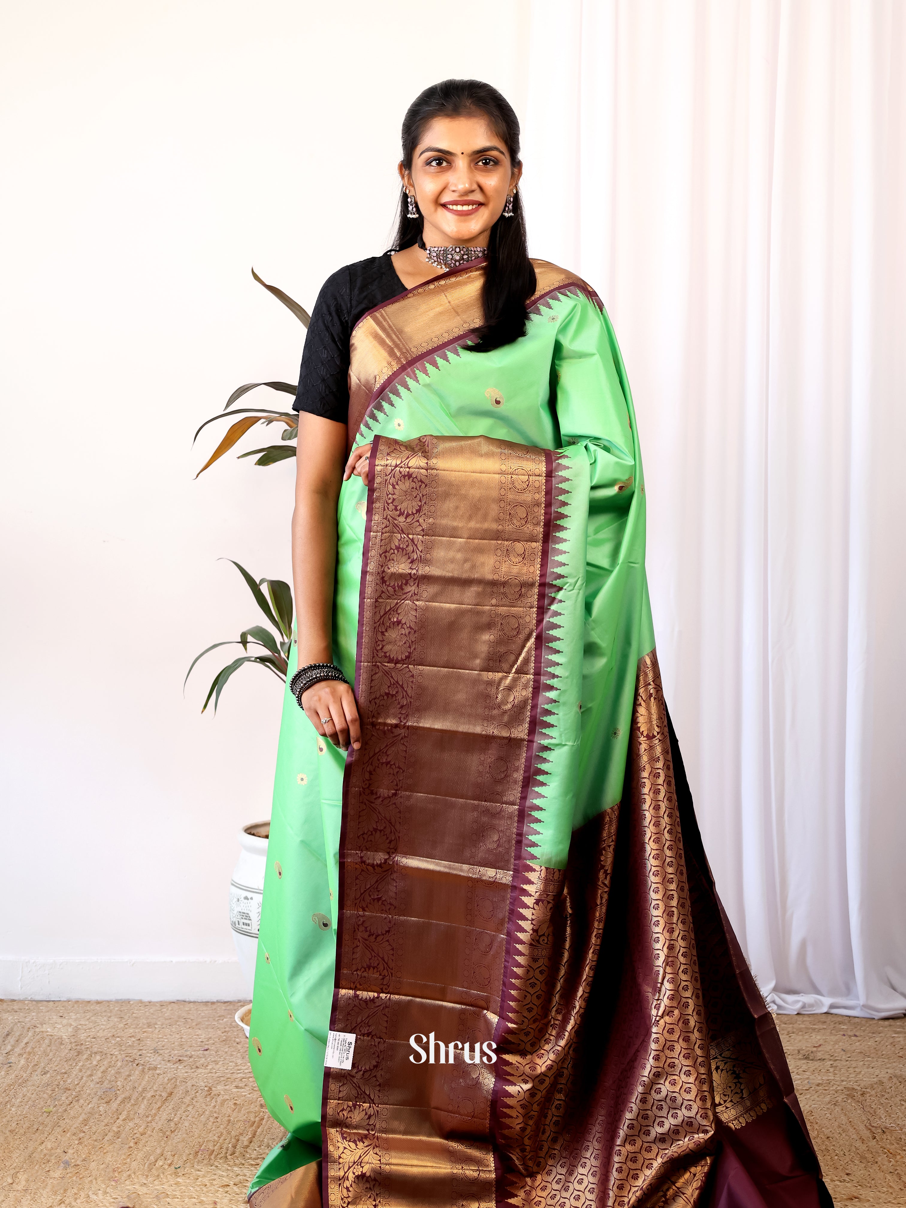 Pista Green & Brown - Gadwal halfpure Saree - Shop on Shrus.com