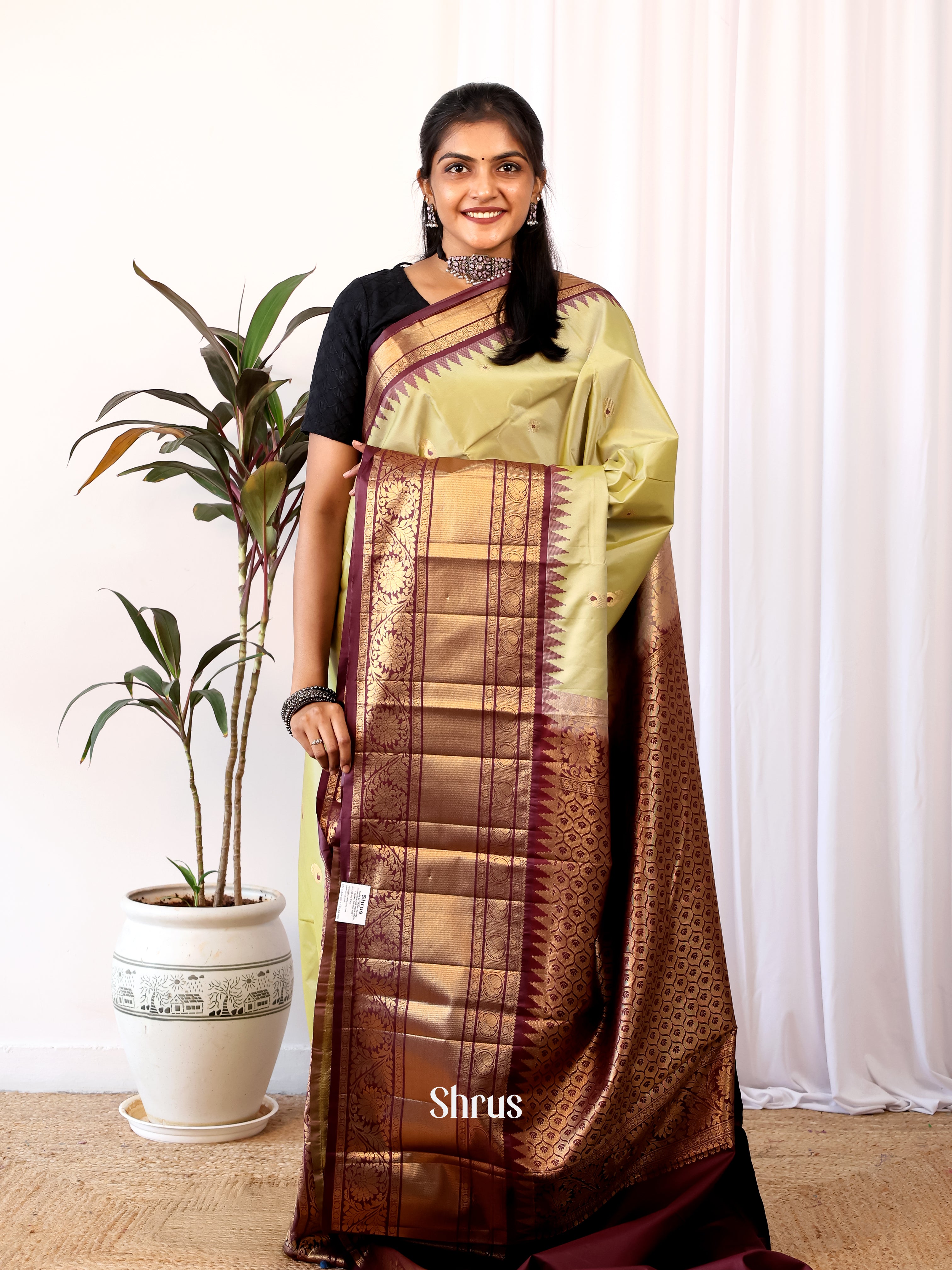 Elachi Green & Brown - Gadwal halfpure Saree - Shop on Shrus.com