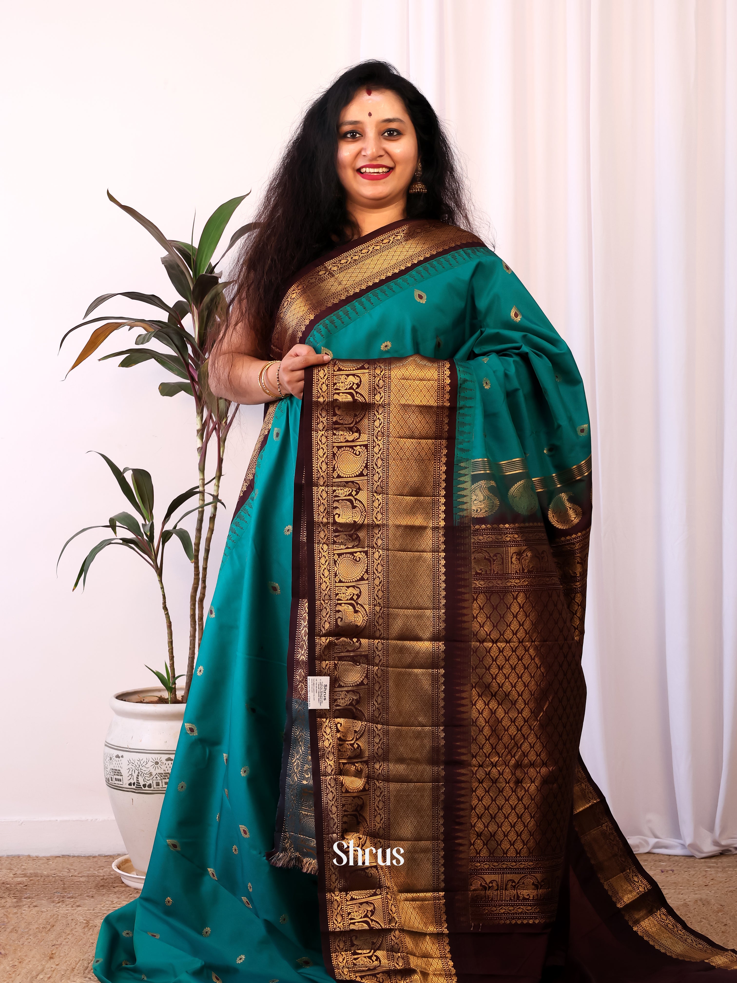 Blue & Brown - Gadwal halfpure Saree - Shop on Shrus.com