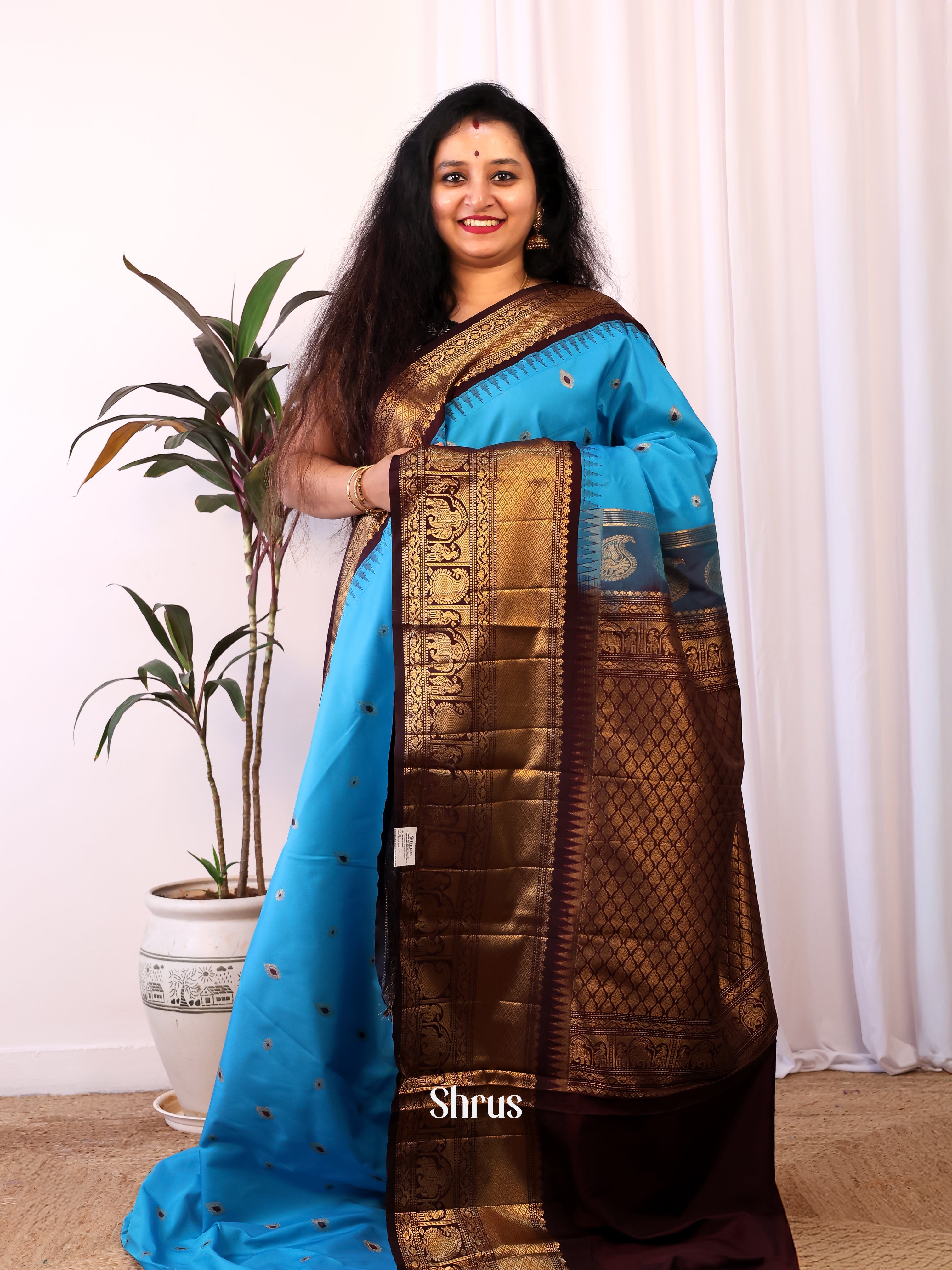 Blue & Brown - Gadwal halfpure Saree - Shop on Shrus.com