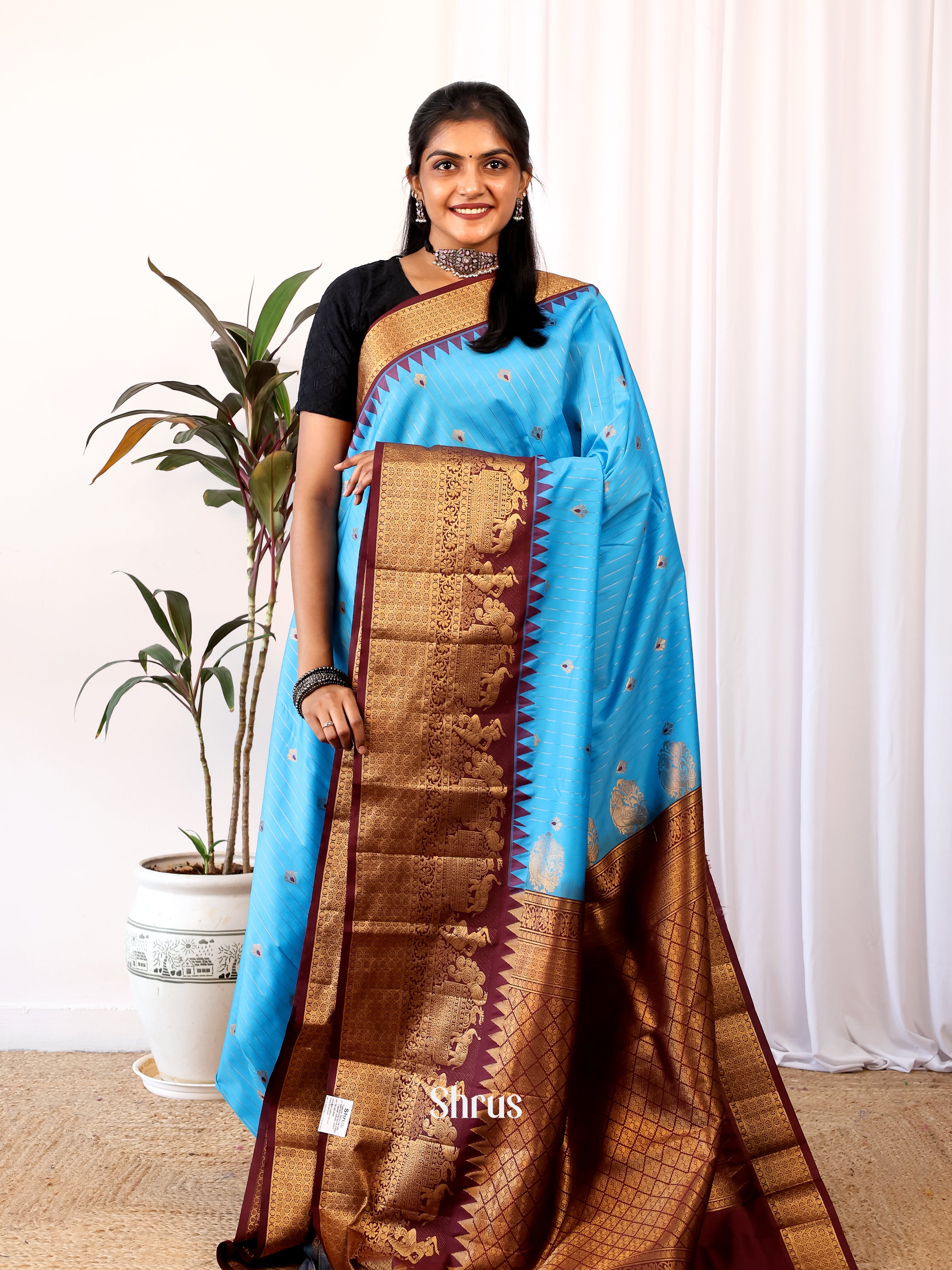 Blue & Brown - Gadwal halfpure Saree - Shop on Shrus.com