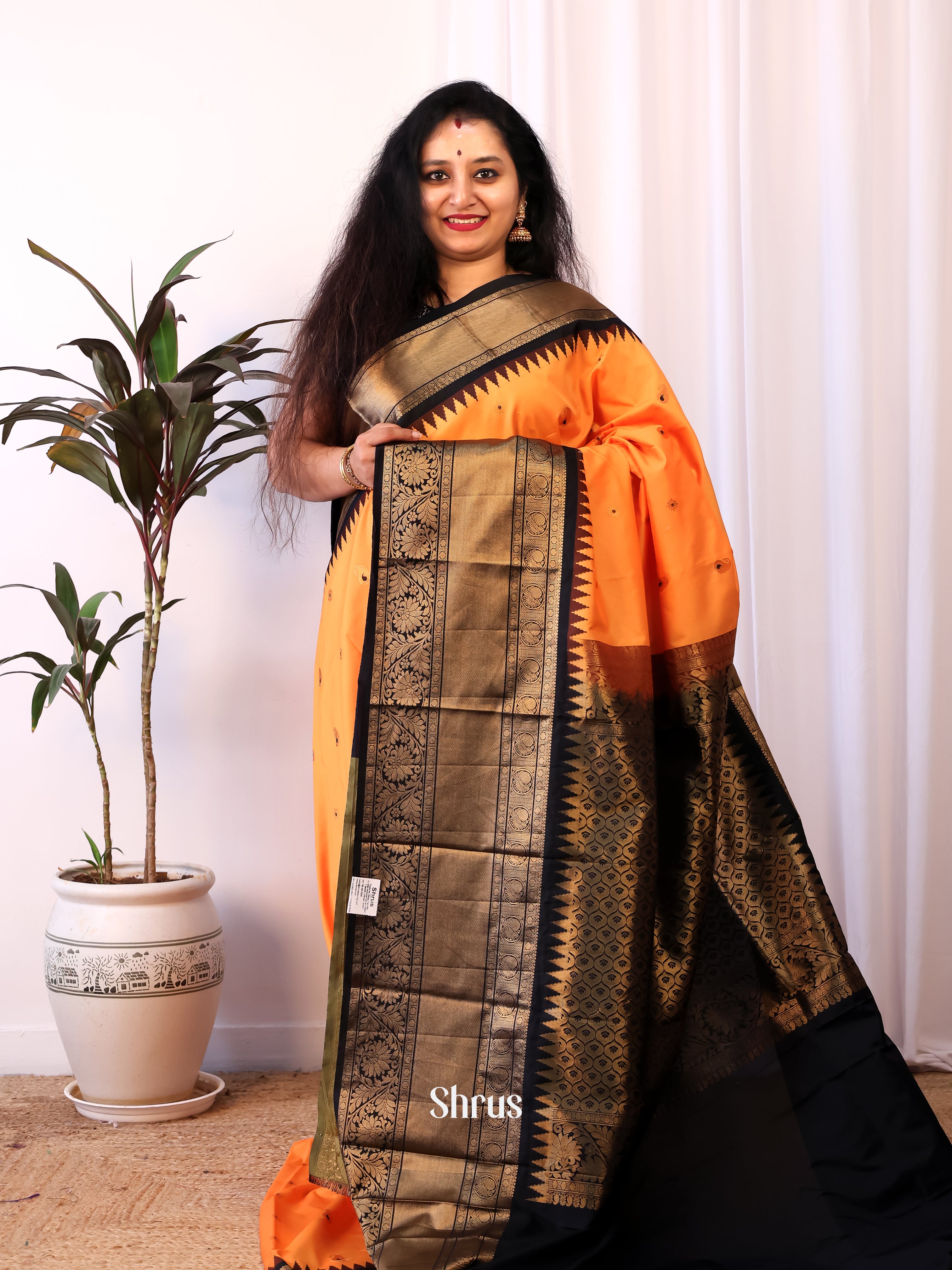 CJS02728 - Gadwal halfpure Saree - Shop on Shrus.com