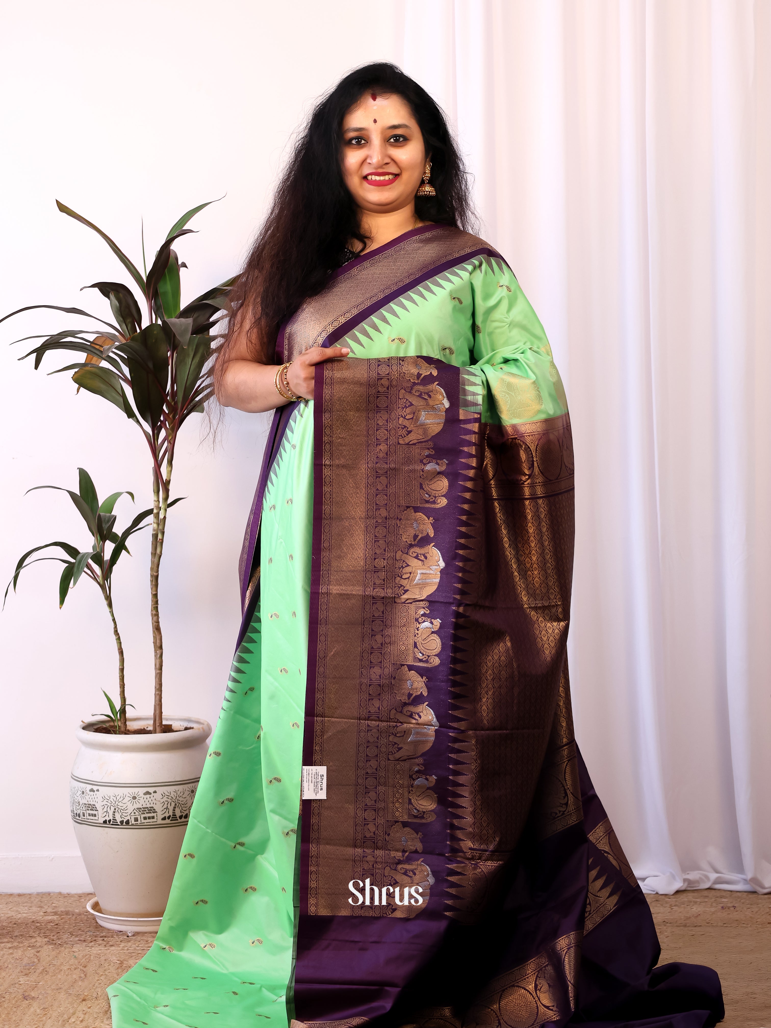 Pista Green & Purple - Gadwal halfpure Saree - Shop on Shrus.com