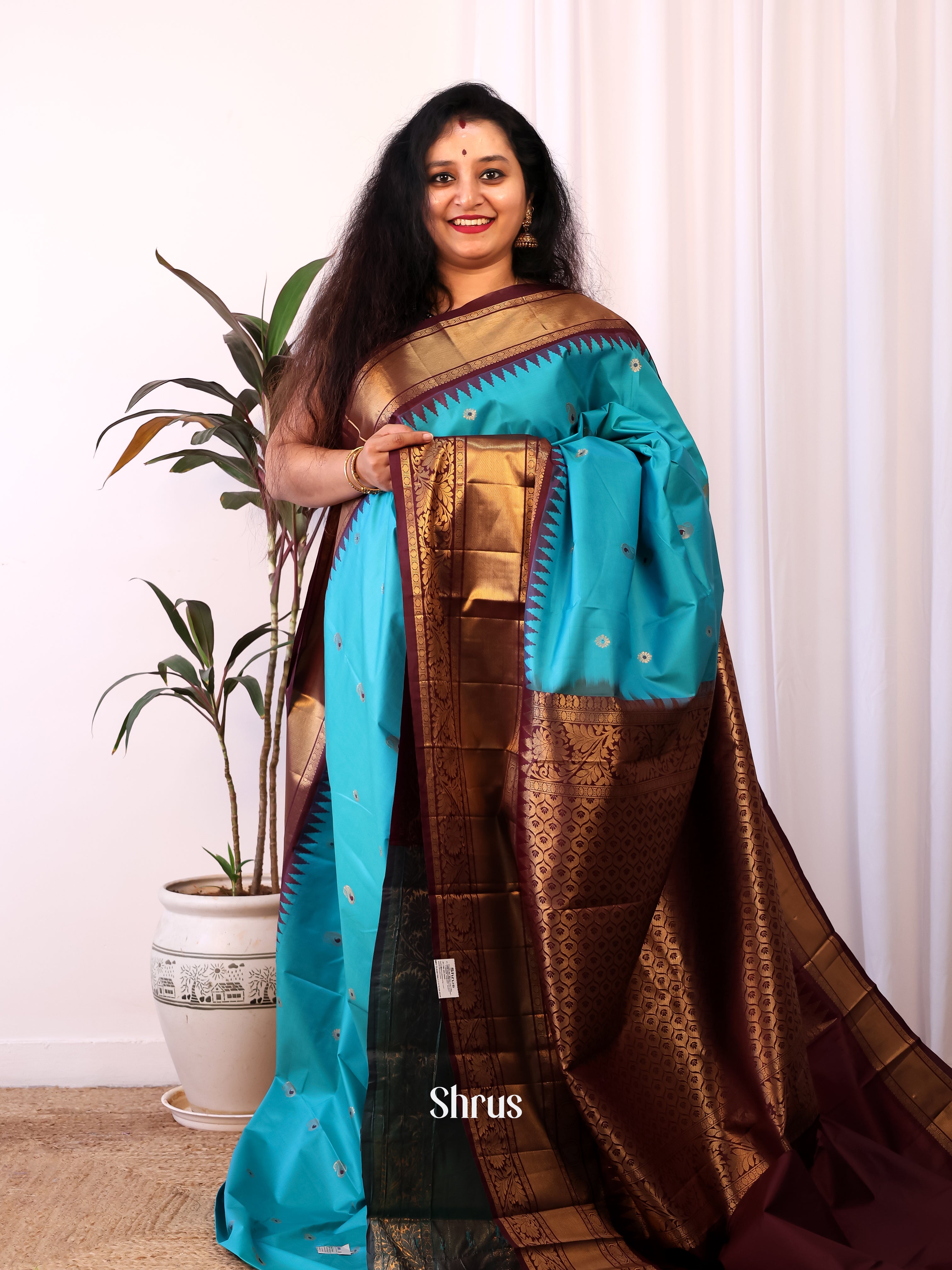 Rama Blue & Brown- Gadwal halfpure Saree - Shop on Shrus.com