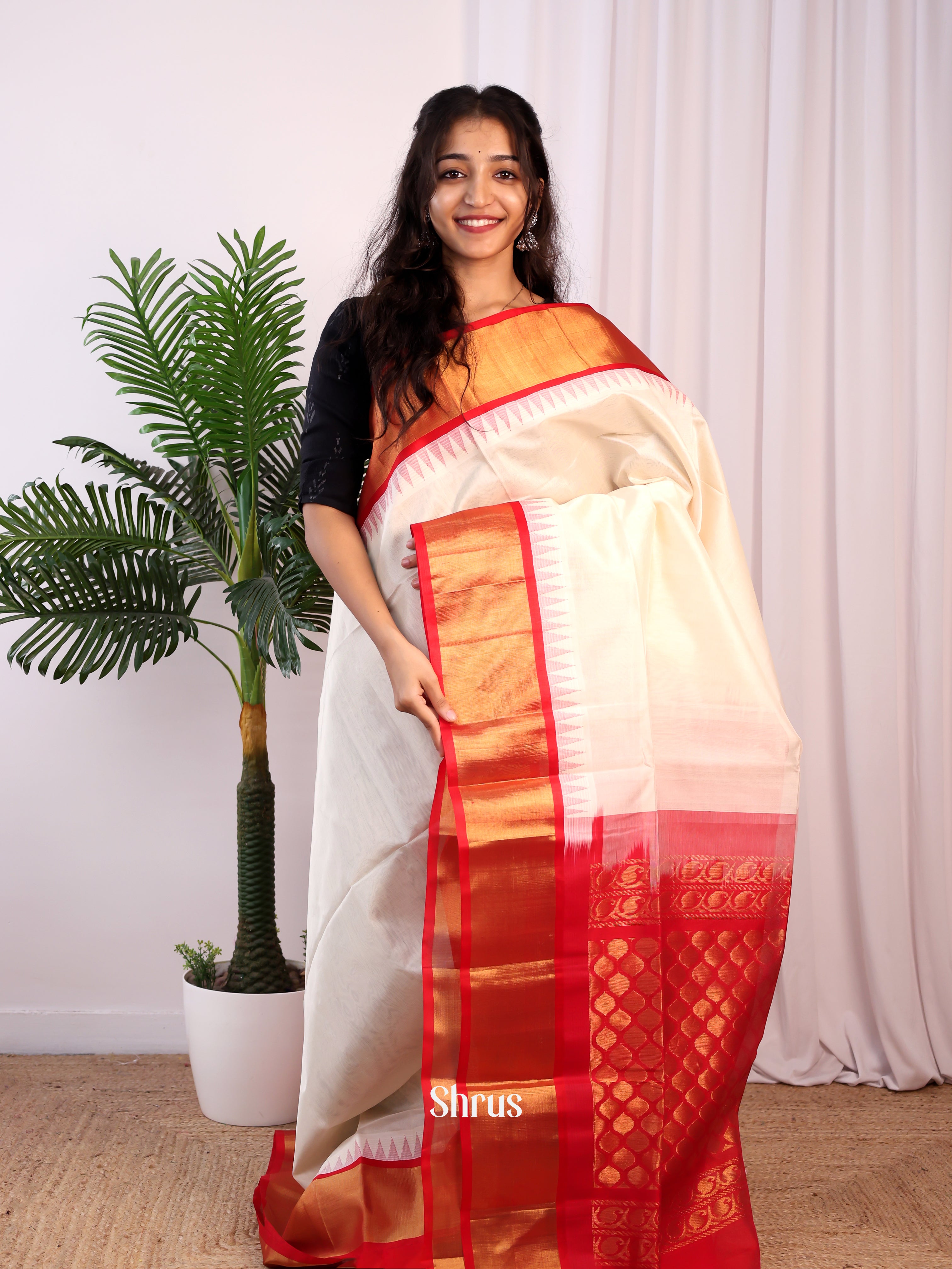 Off White & Red - Silk Cotton Saree - Shop on Shrus.com