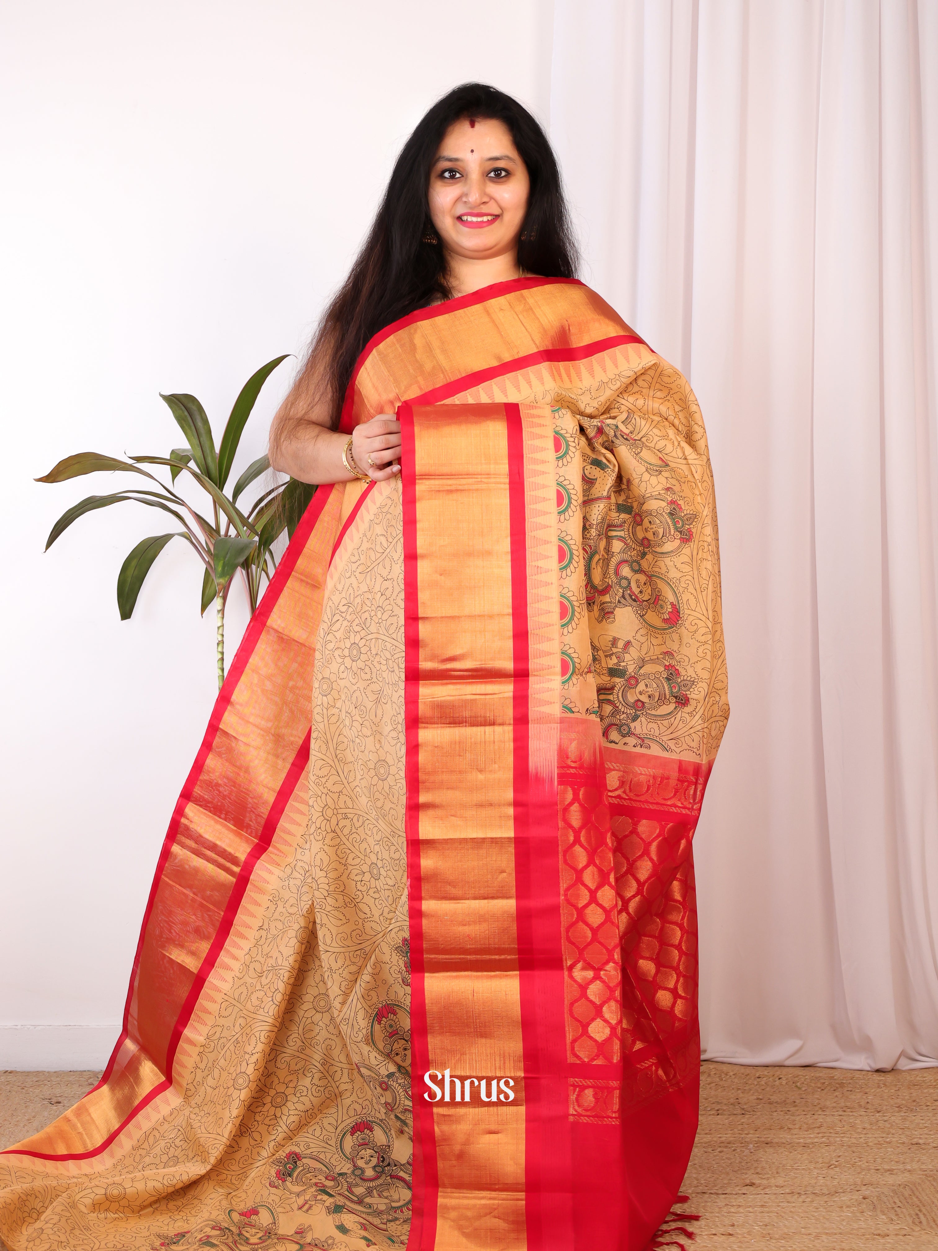 Sandal & Red - Hindolam Saree - Shop on Shrus.com