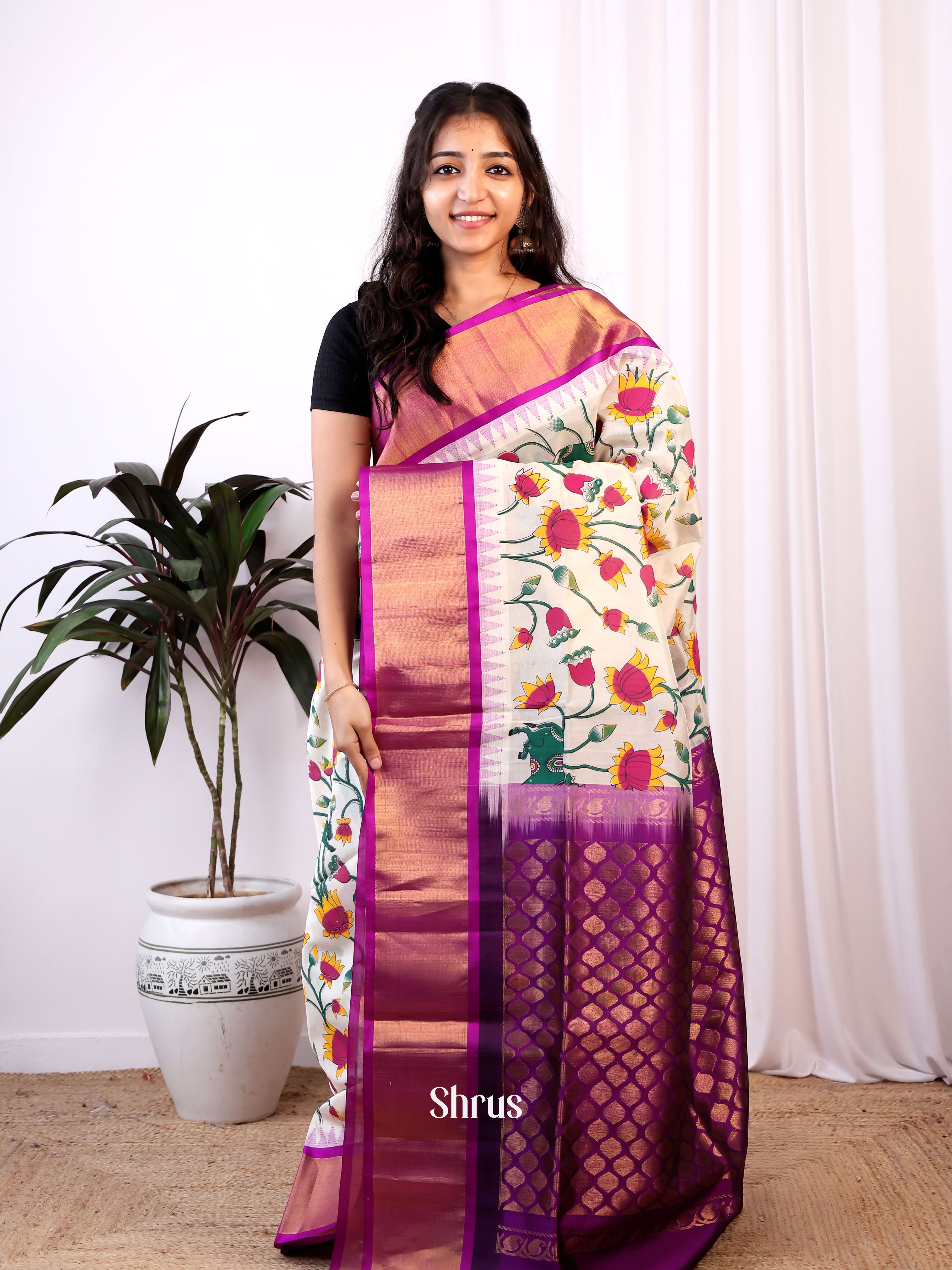 Cream & Purple - Silk Cotton Saree - Shop on Shrus.com