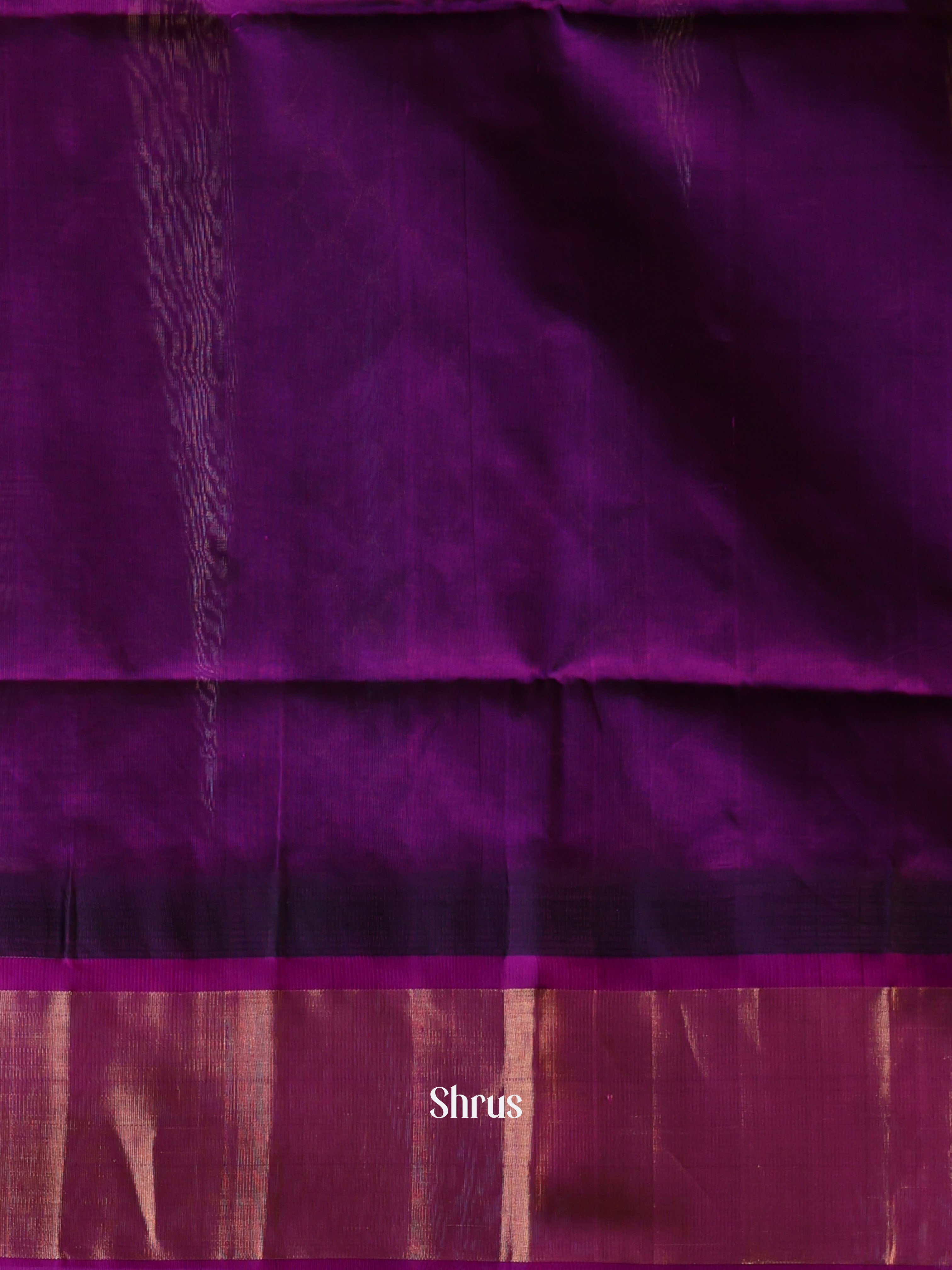 Cream & Purple - Silk Cotton Saree - Shop on Shrus.com