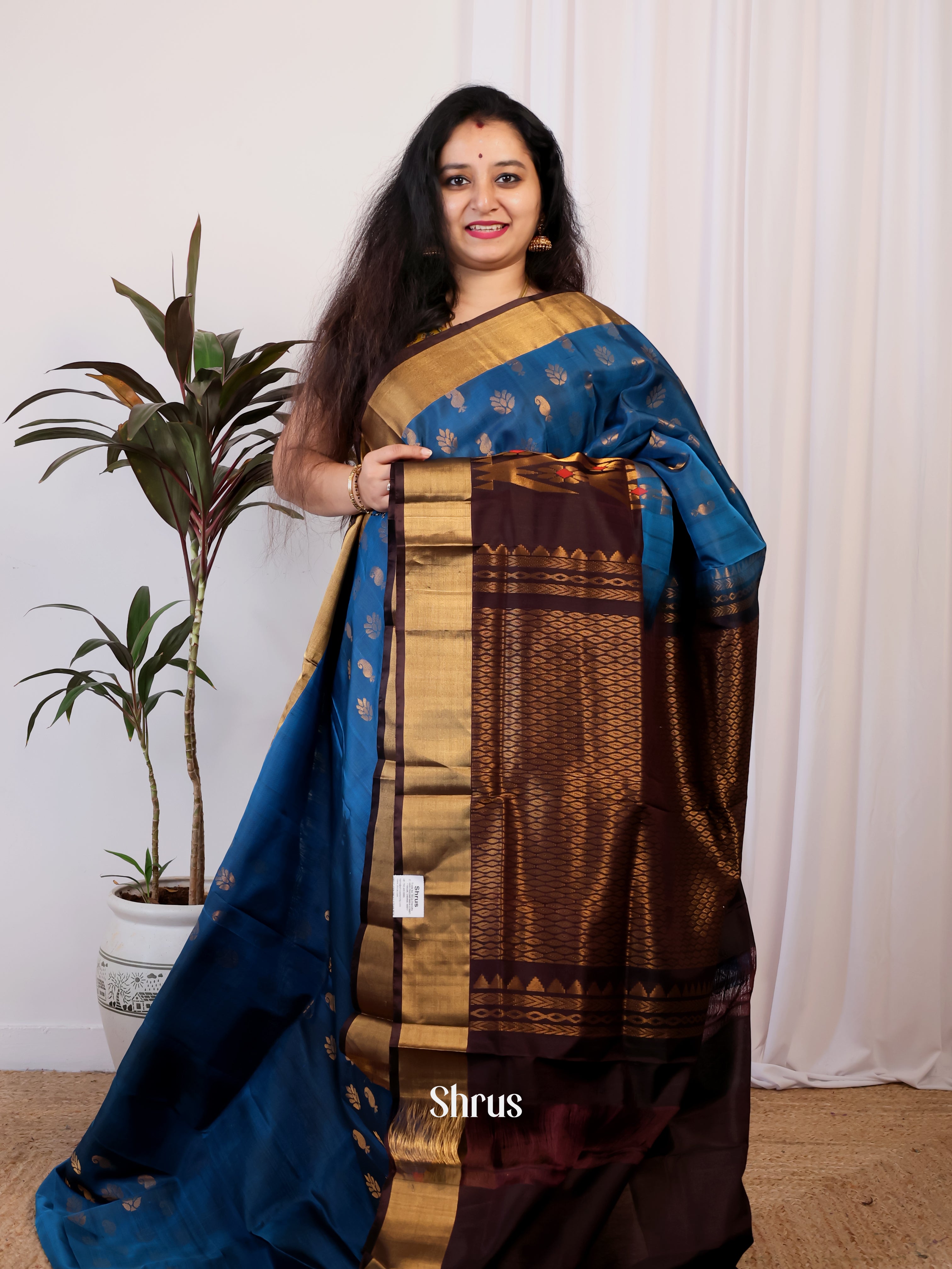Blue & Brown - Uppada silk Saree - Shop on Shrus.com
