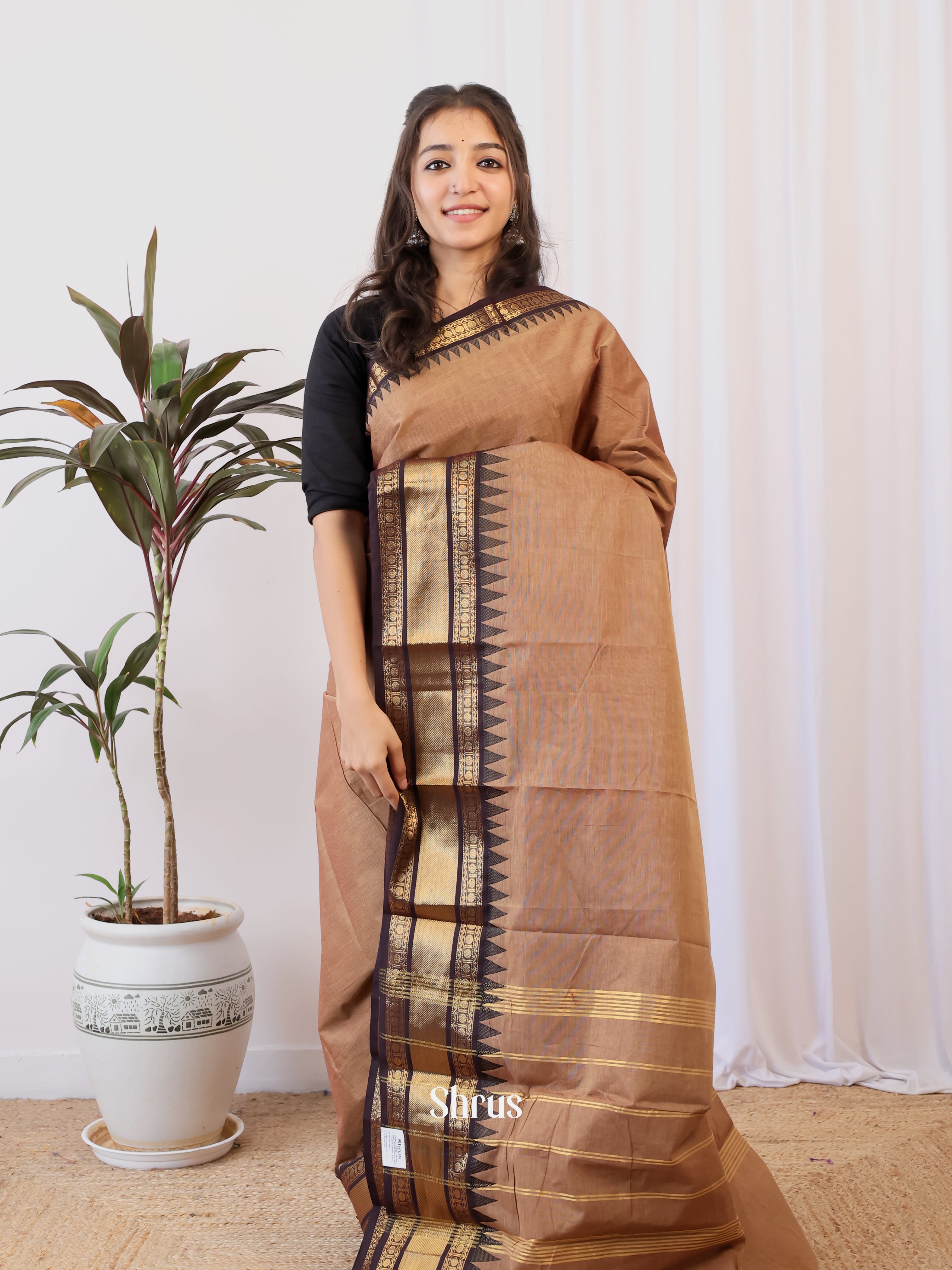 CJS05135 - Chettinad Cotton Saree - Shop on Shrus.com