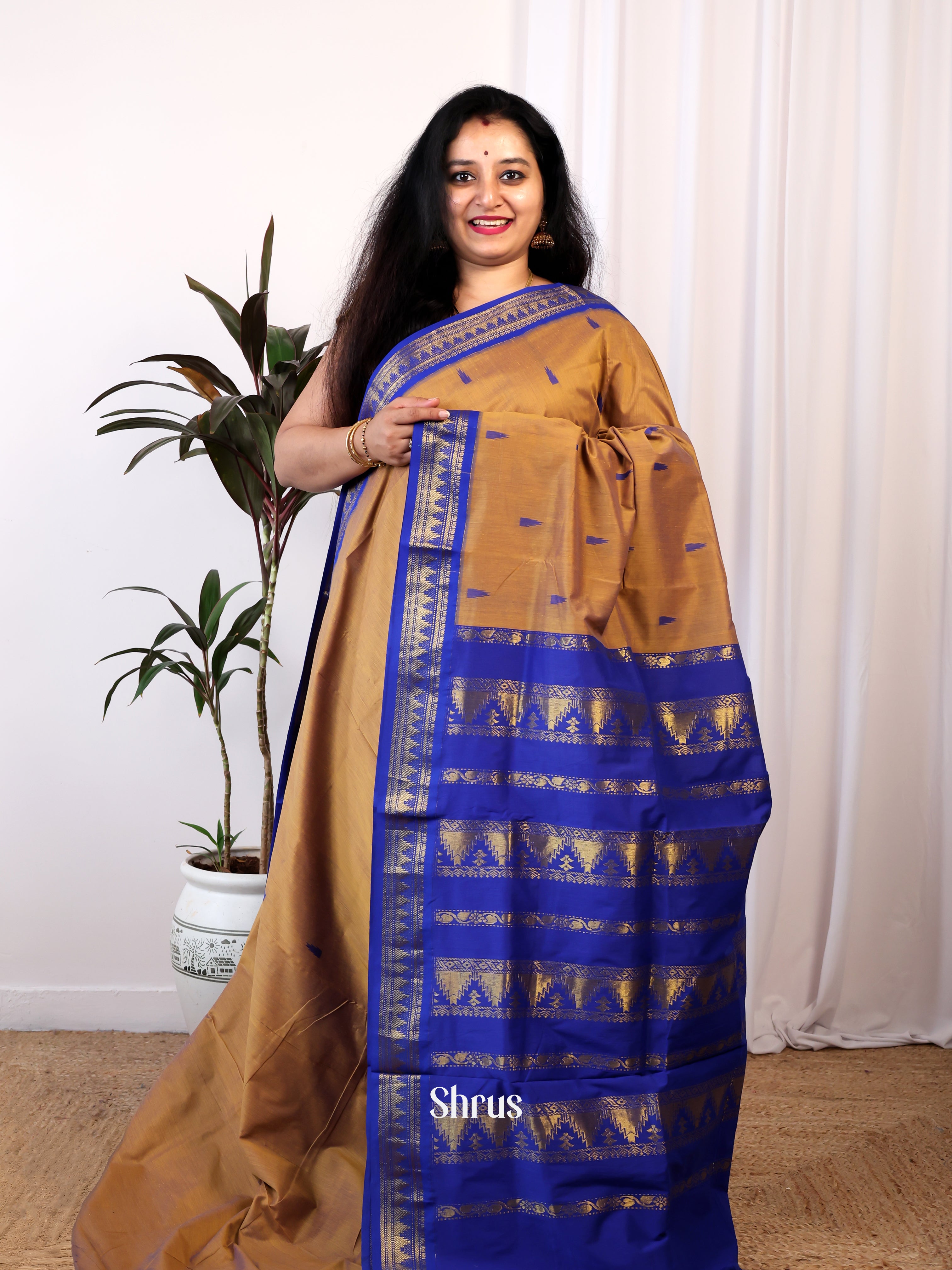 Brown & Blue - Kalyani Cotton Saree - Shop on Shrus.com