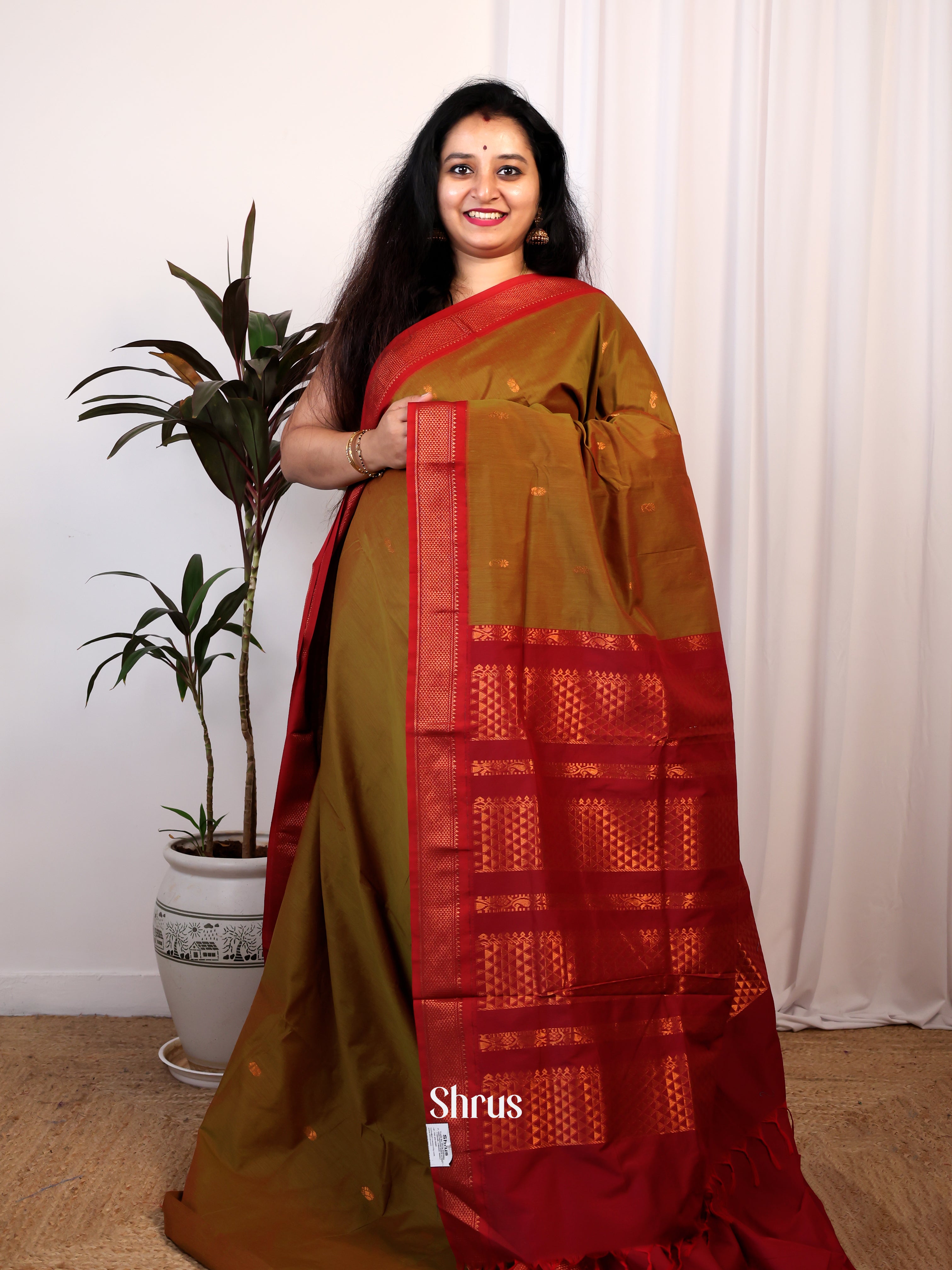 Mehandi Green & Maroon- Kalyani Cotton Saree - Shop on Shrus.com
