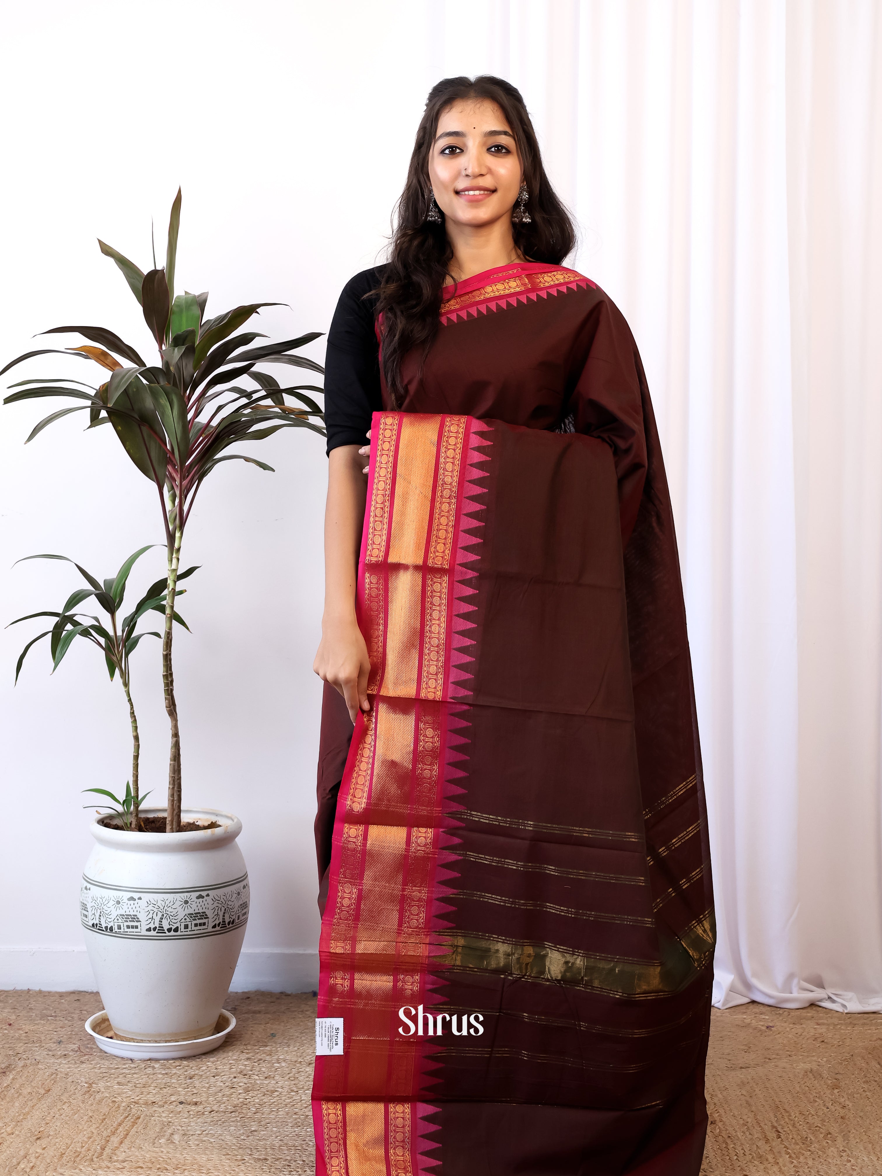 Coffee Brown & Pink - Chettinad Cotton Saree - Shop on Shrus.com
