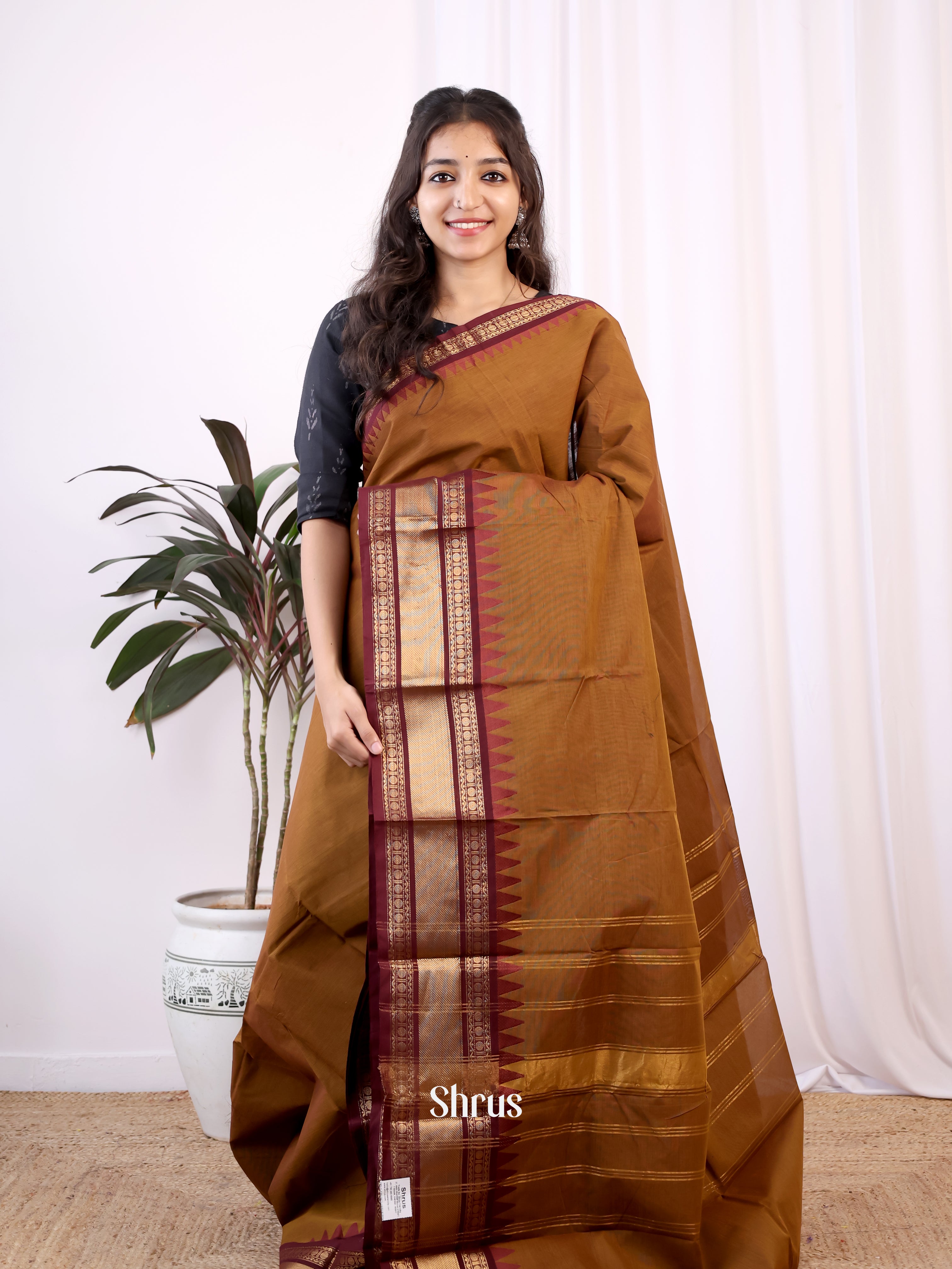 Brown & Coffee Brown - Chettinad Cotton Saree - Shop on Shrus.com