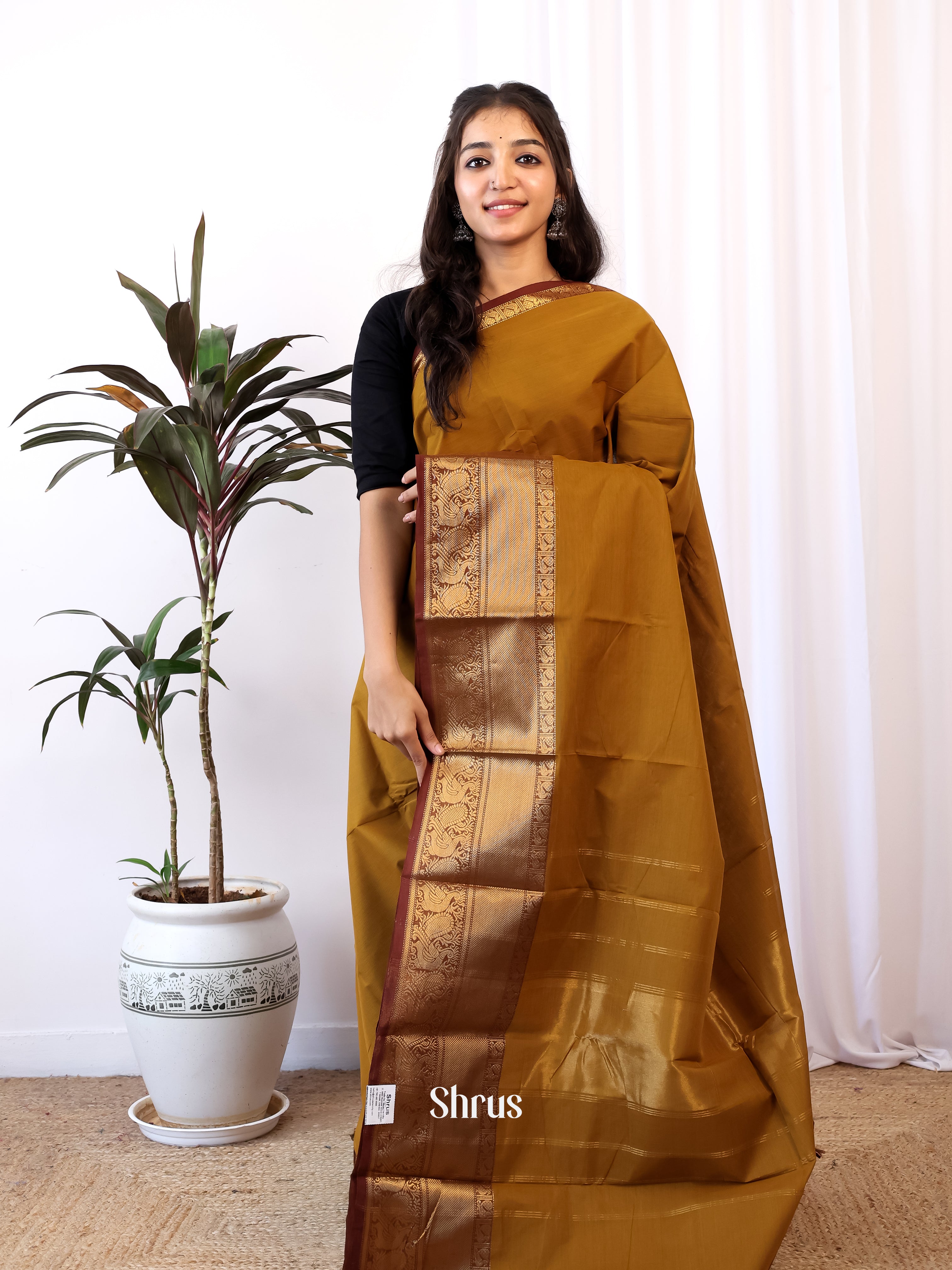 Golden Brown & Brown- Chettinad Cotton Saree - Shop on Shrus.com