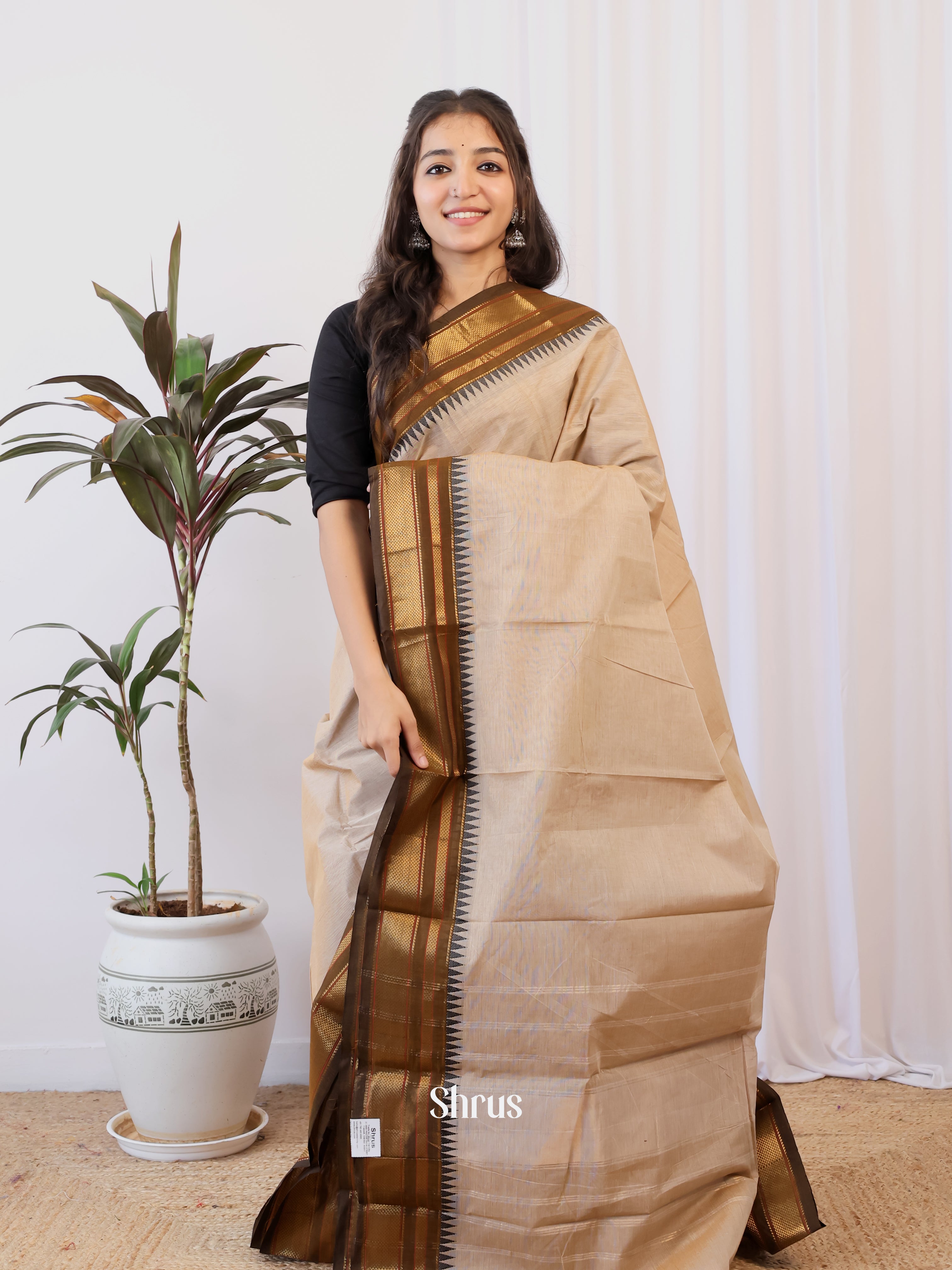 Cream & Brown - Chettinad Cotton Saree - Shop on Shrus.com