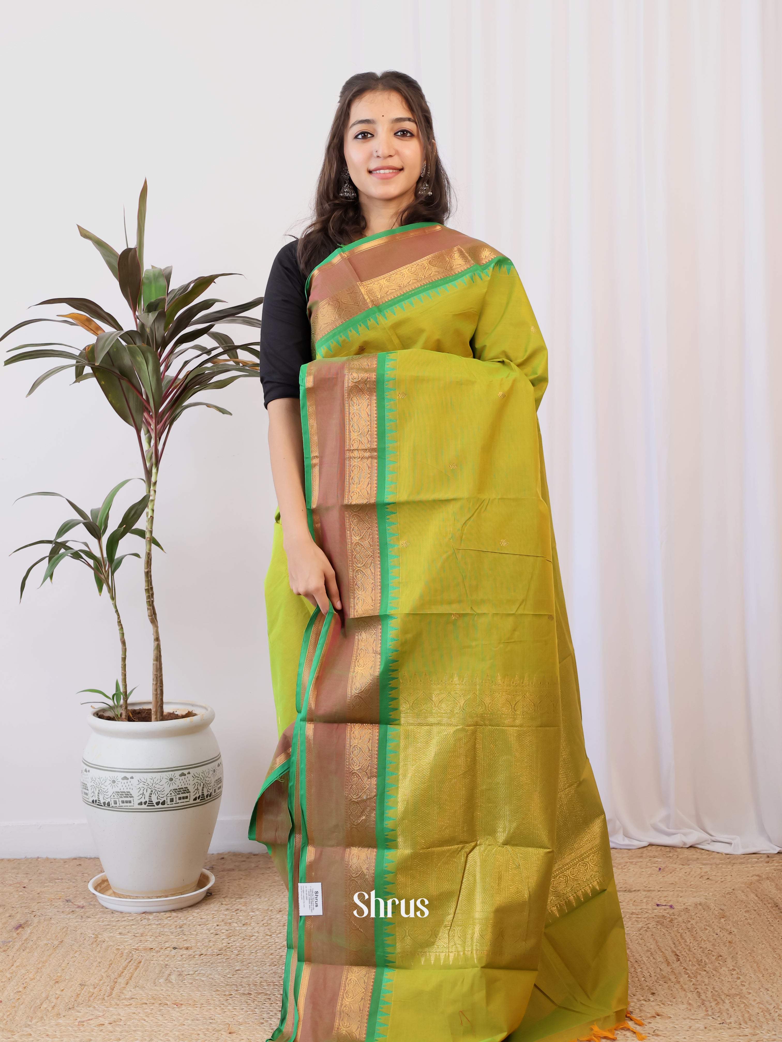 Green - Chettinad Cotton Saree - Shop on Shrus.com