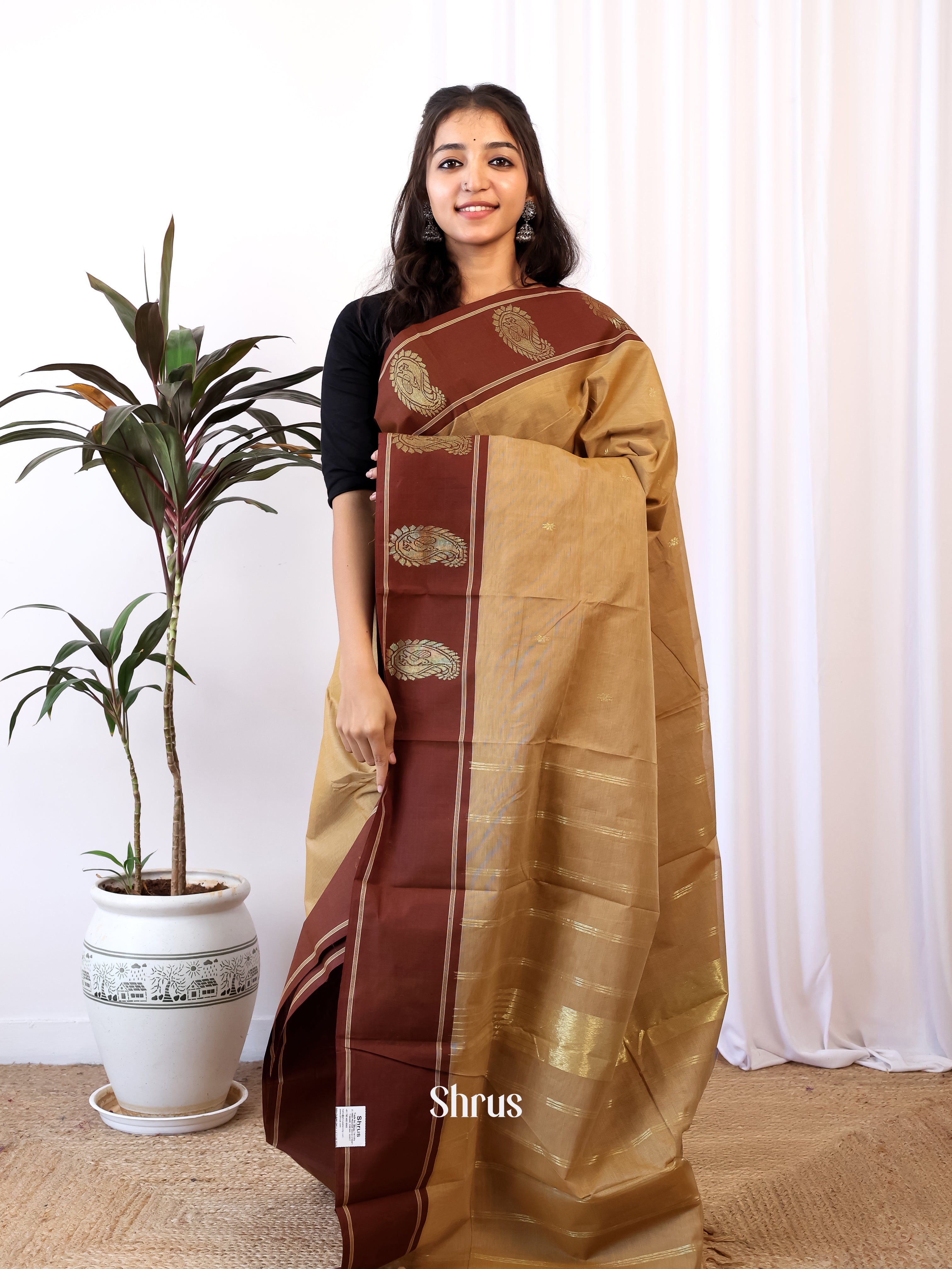 Grey & Brown - Chettinad Cotton Saree - Shop on Shrus.com