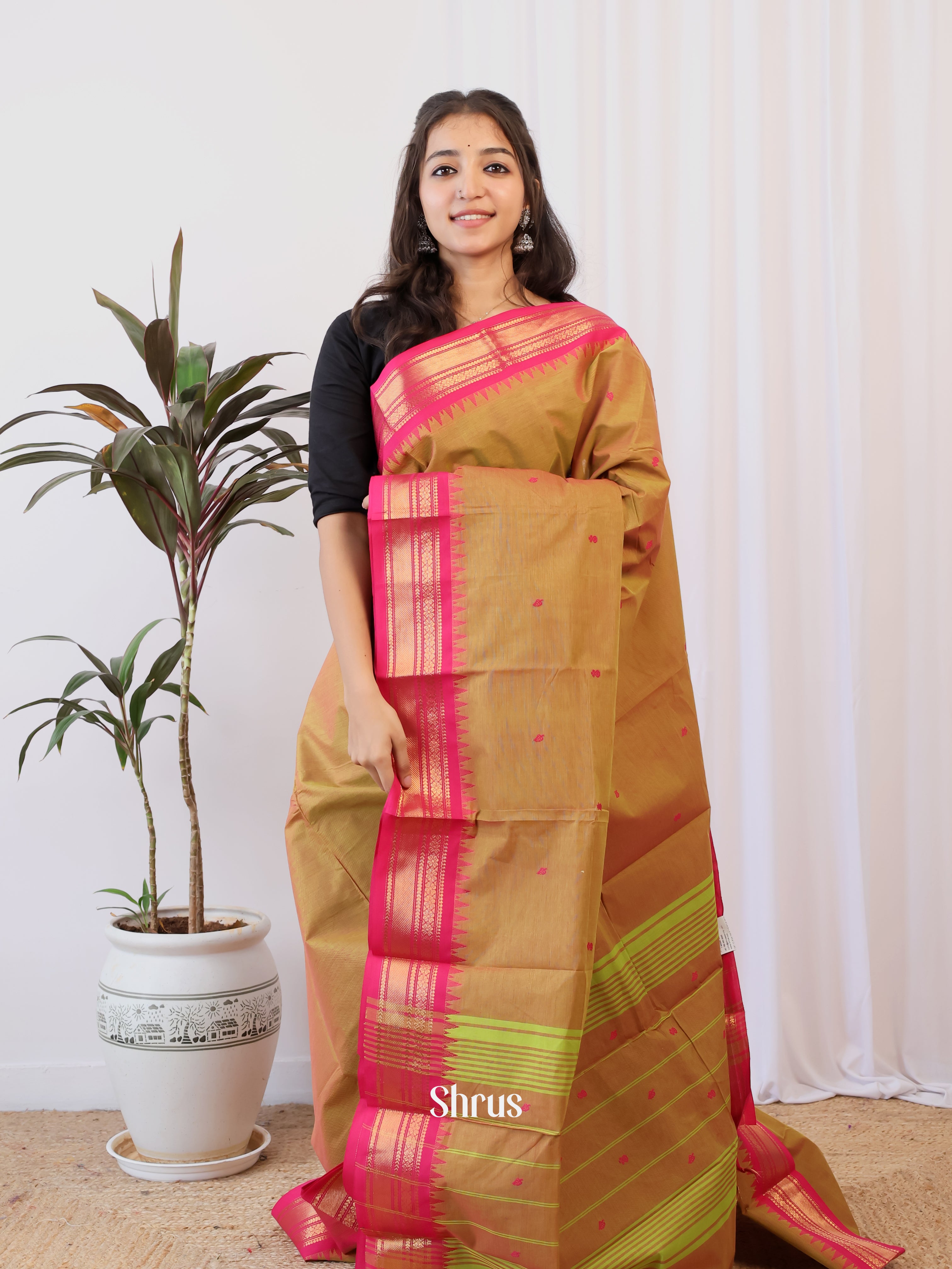 Brown & Pink - Chettinad Cotton Saree - Shop on Shrus.com
