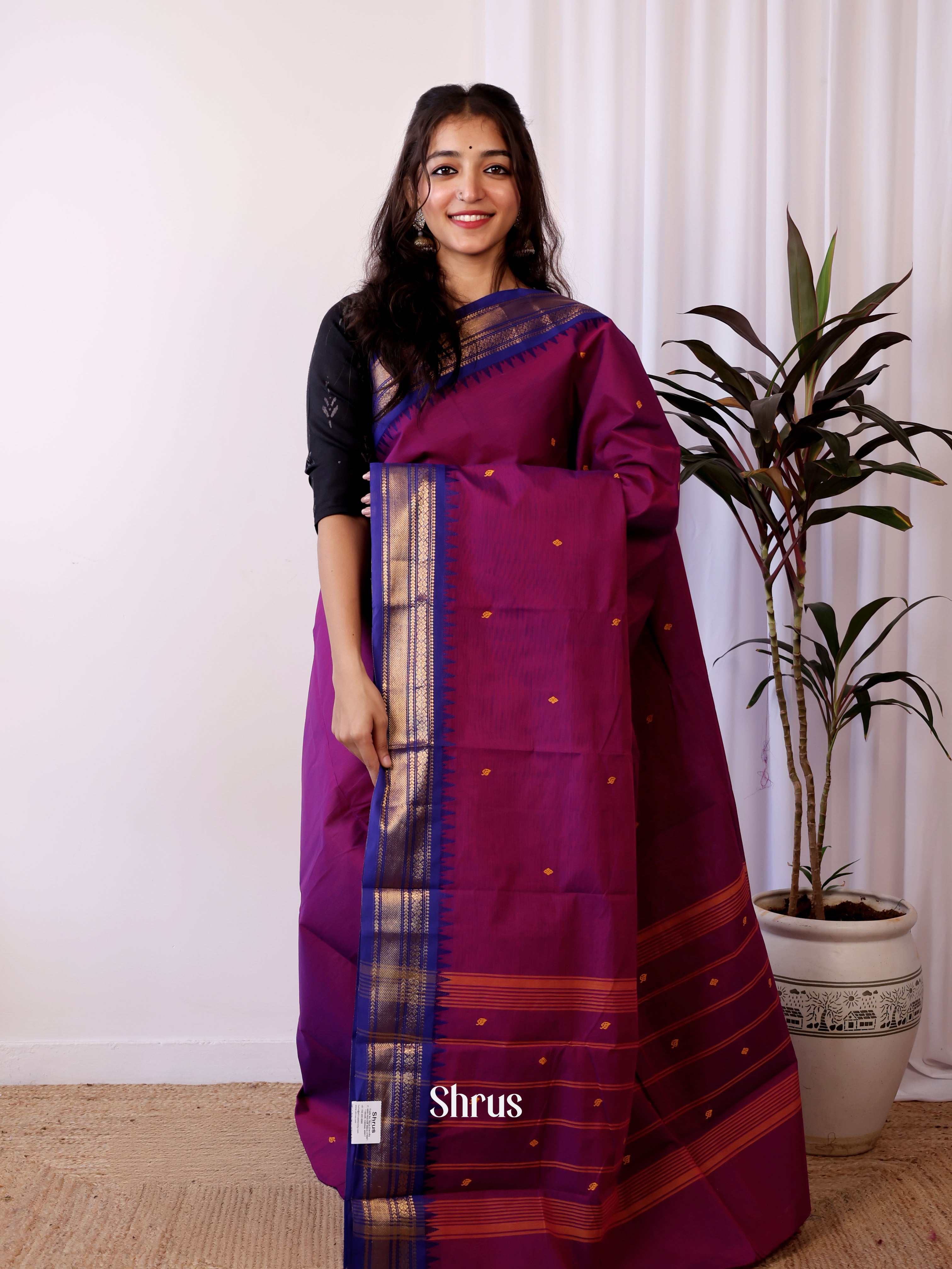 Purple & Blue- Chettinad Cotton Saree - Shop on Shrus.com