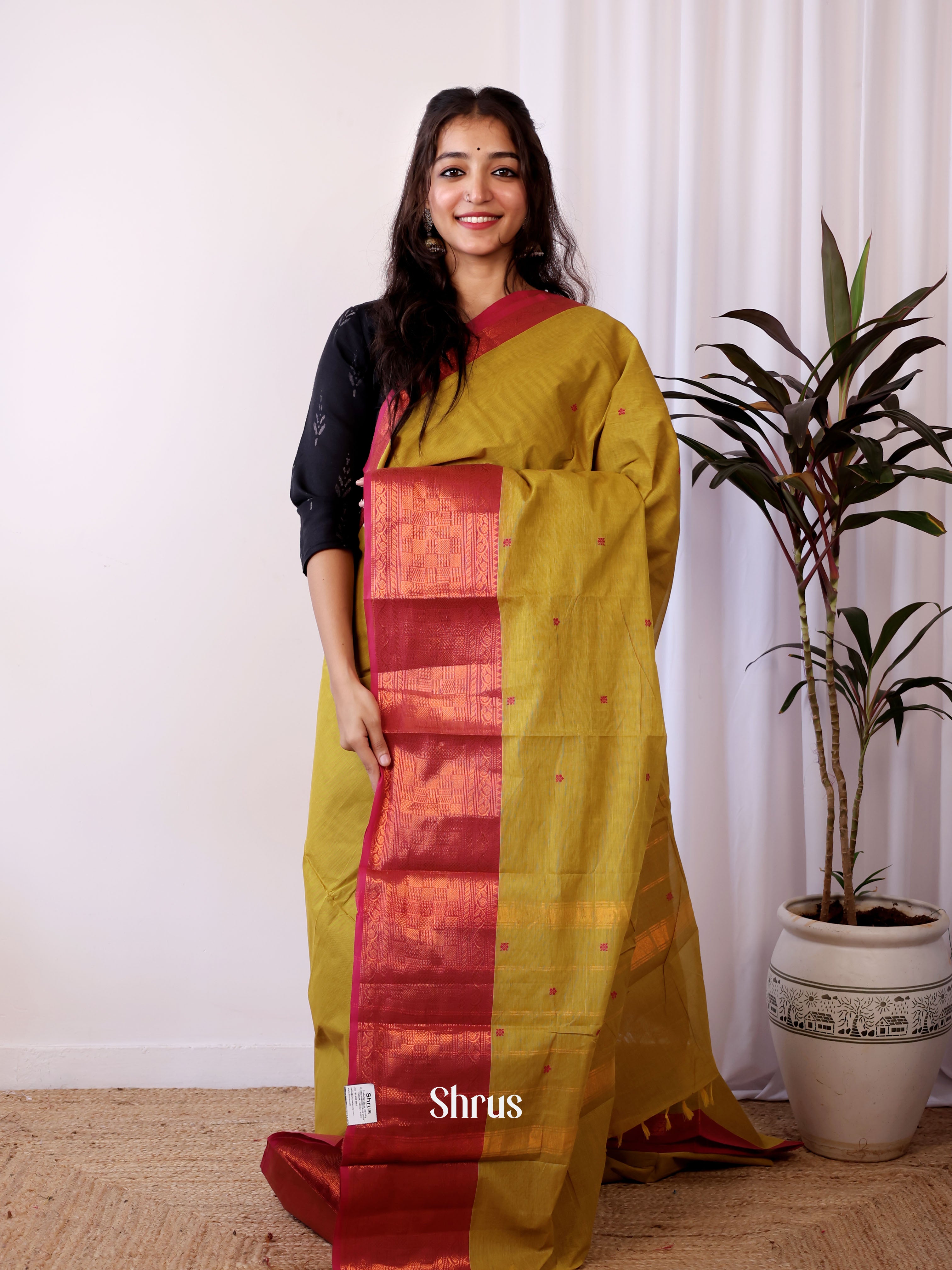 Green & Maroon - Chettinad Cotton Saree - Shop on Shrus.com