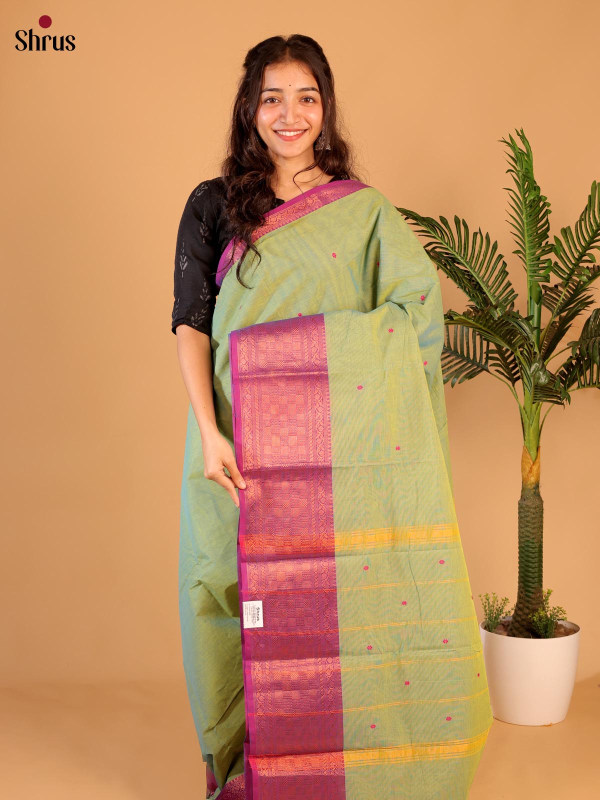 Green & Purple - Chettinad Cotton Saree - Shop on Shrus.com