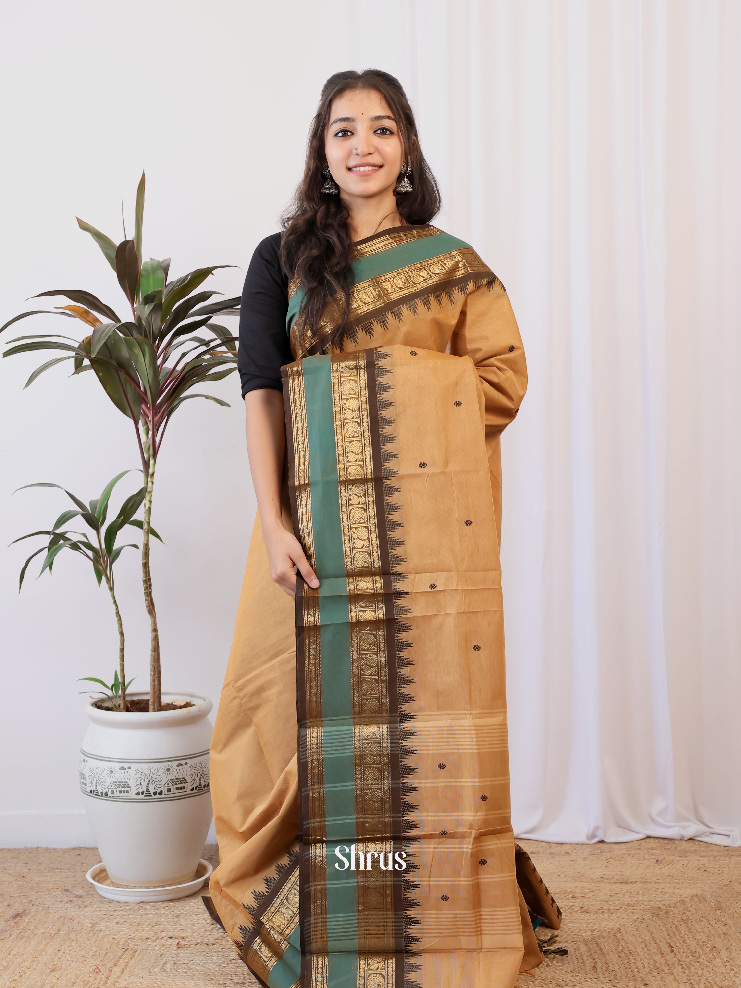 Lite Brown & Brown - Chettinad Cotton Saree - Shop on Shrus.com