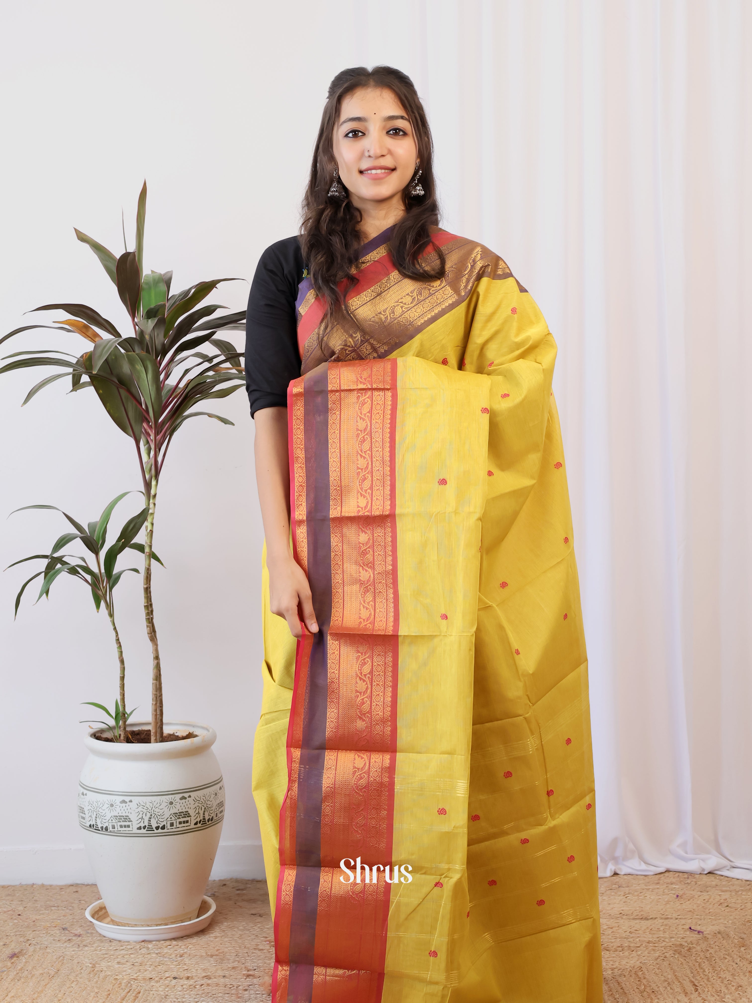 Mustardy Green & Violet - Chettinad Cotton Saree - Shop on Shrus.com