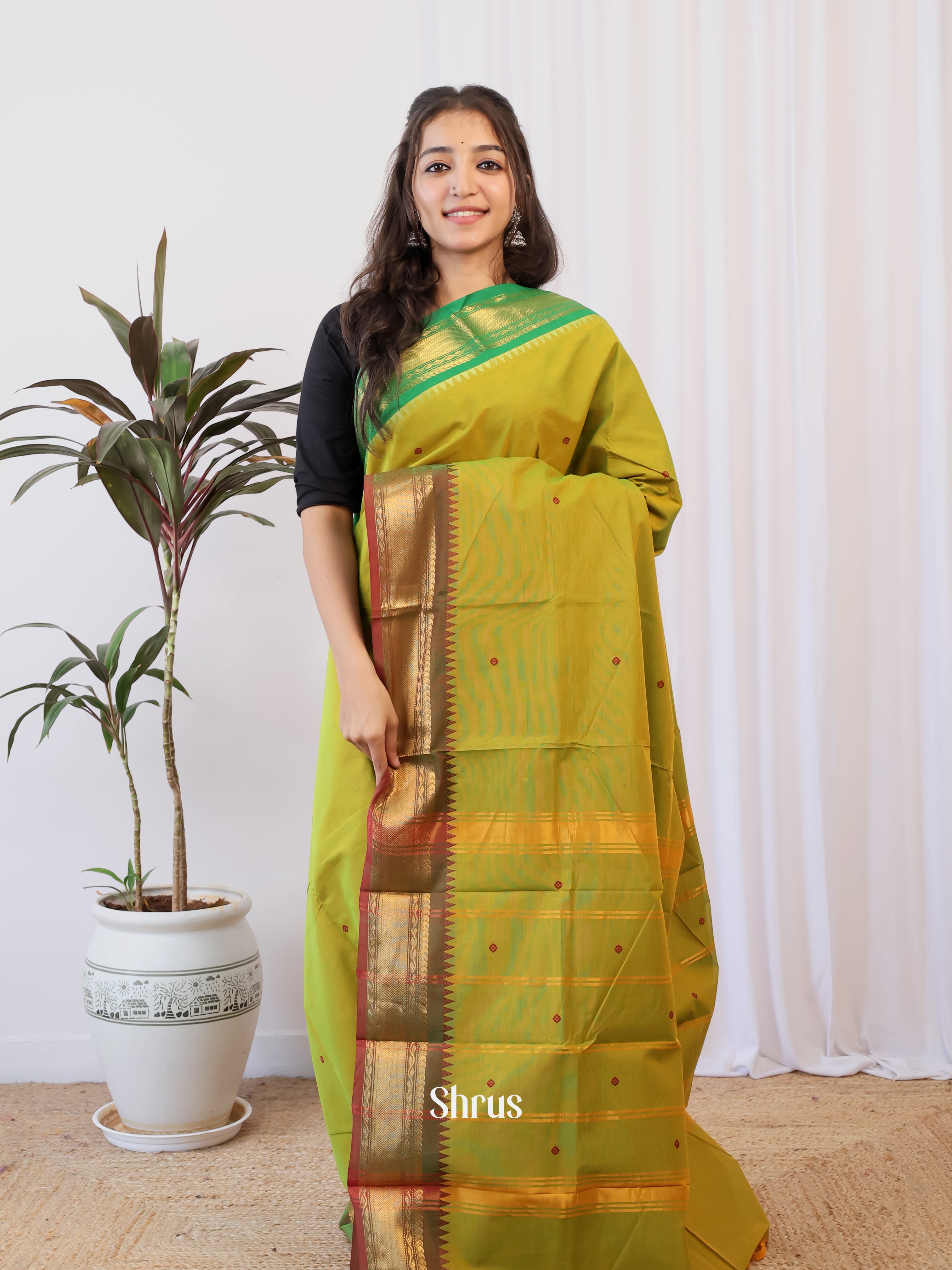 Mustardy Green & Brown- Chettinad Cotton Saree - Shop on Shrus.com