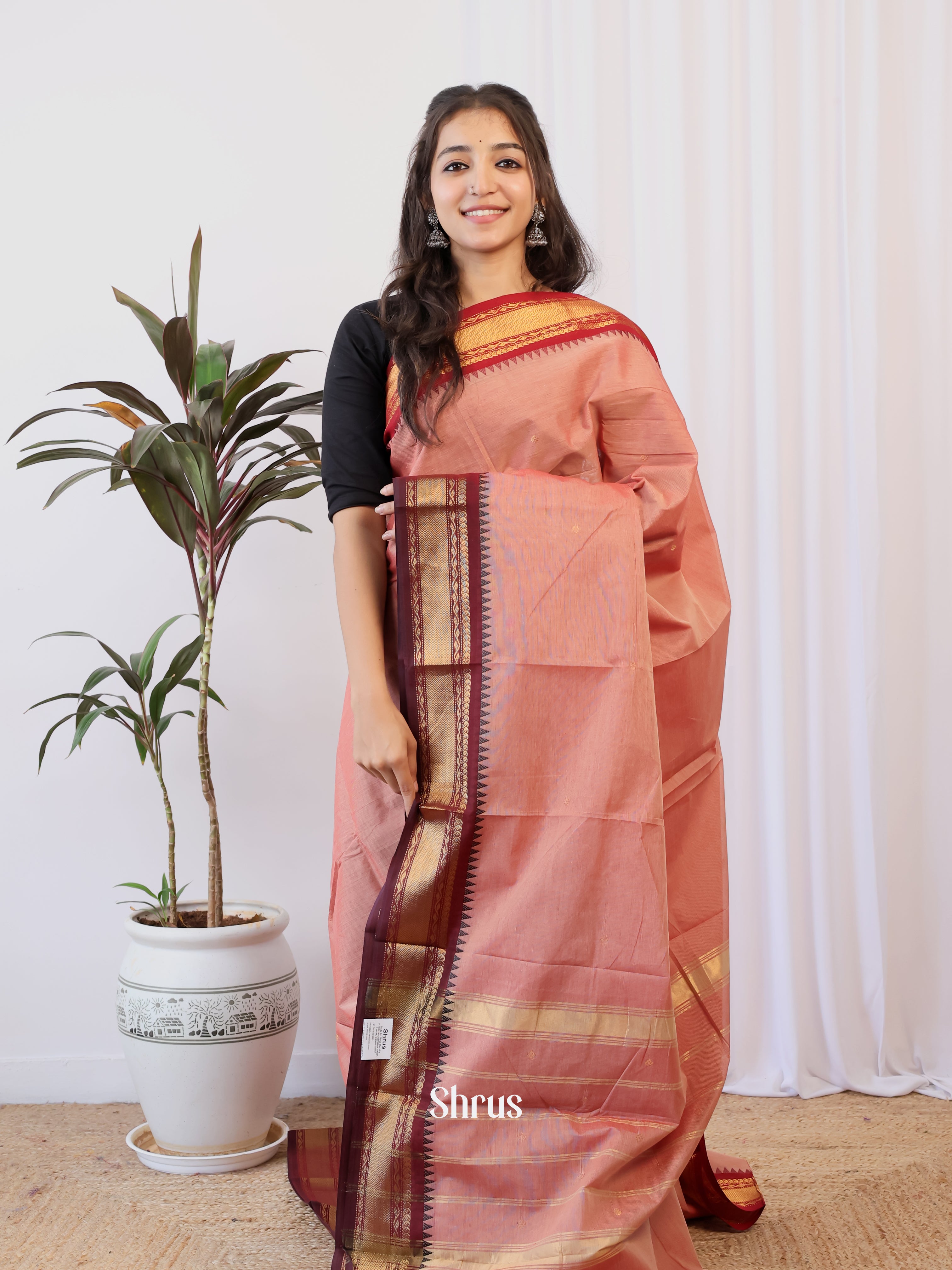 Pink & Brown - Chettinad Cotton Saree - Shop on Shrus.com