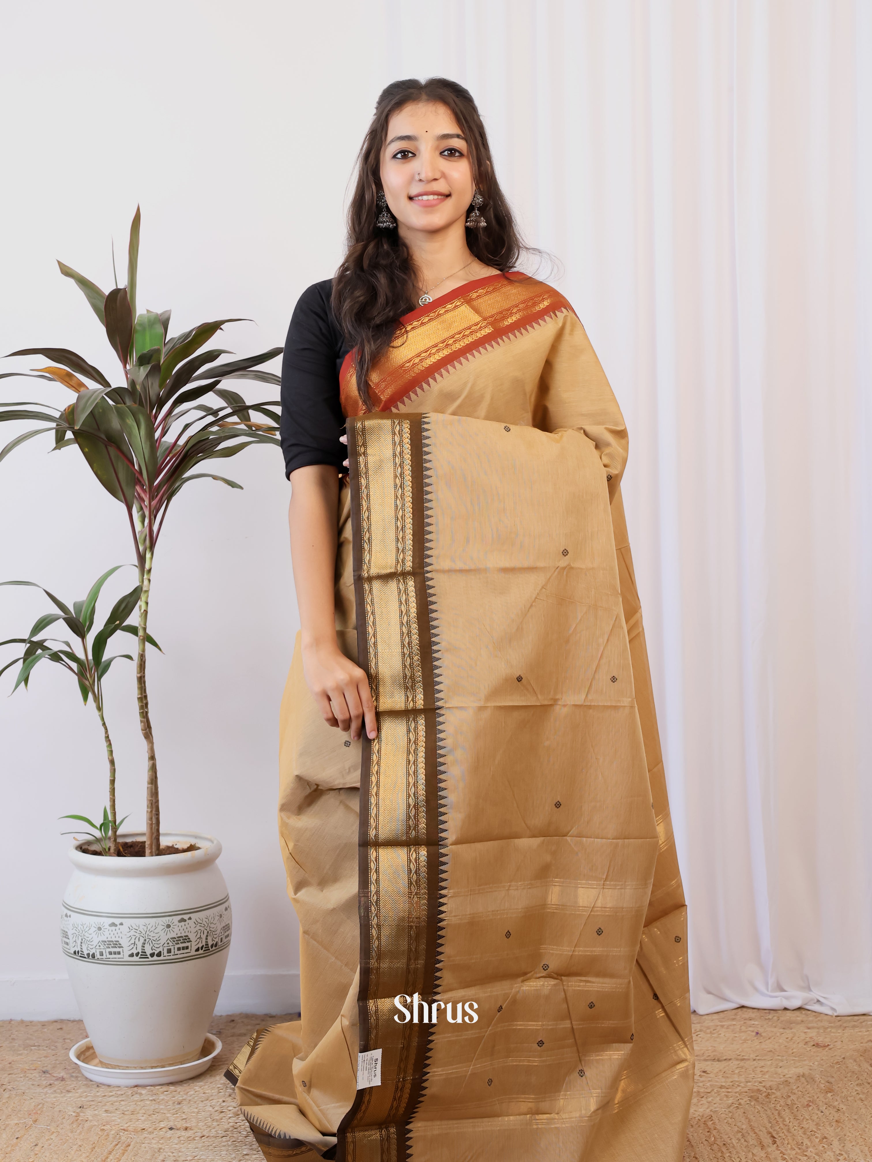Lite Brown & Brown - Chettinad Cotton Saree - Shop on Shrus.com