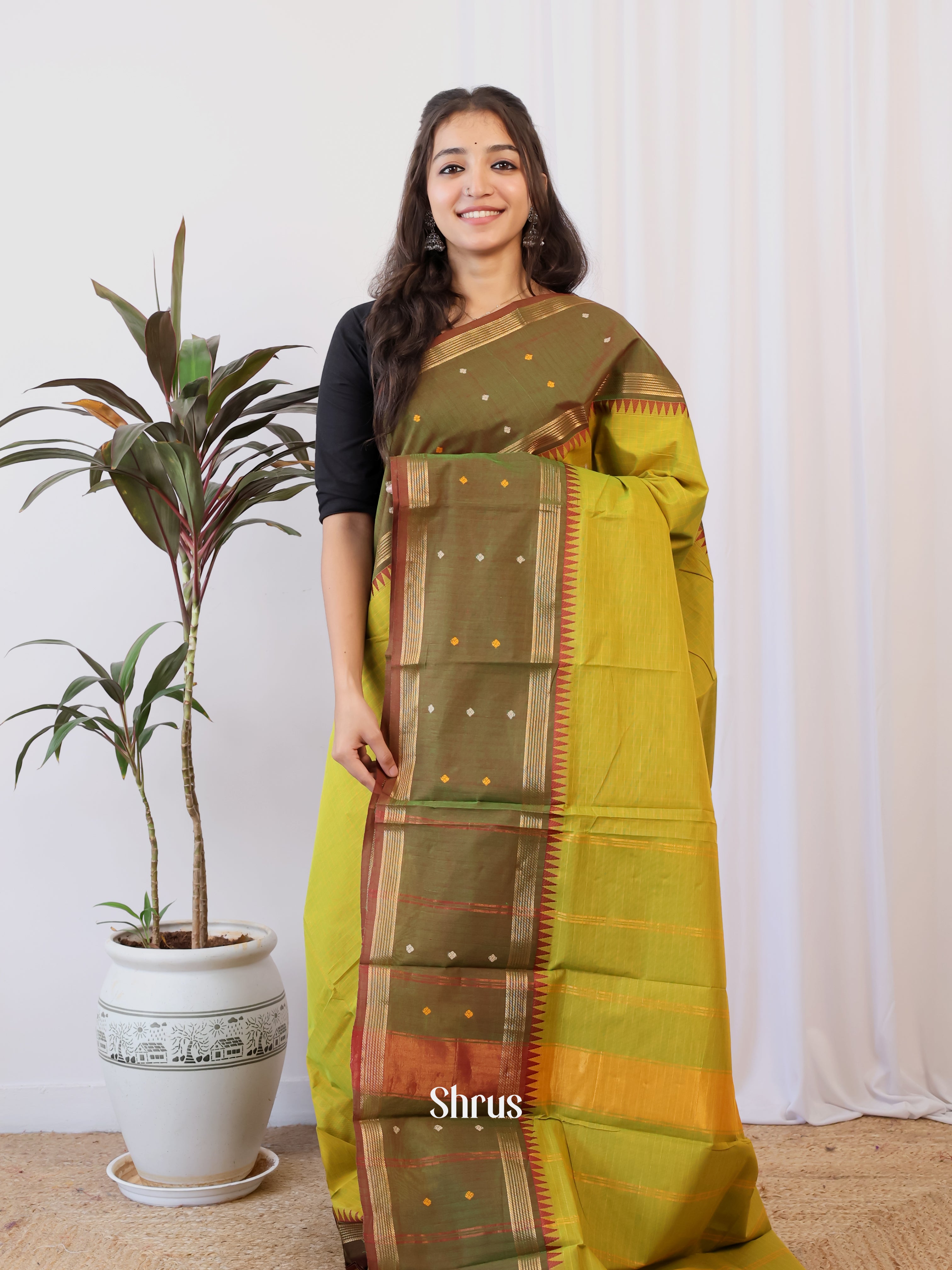 Mathulir Green & Green - Chettinad Cotton Saree - Shop on Shrus.com