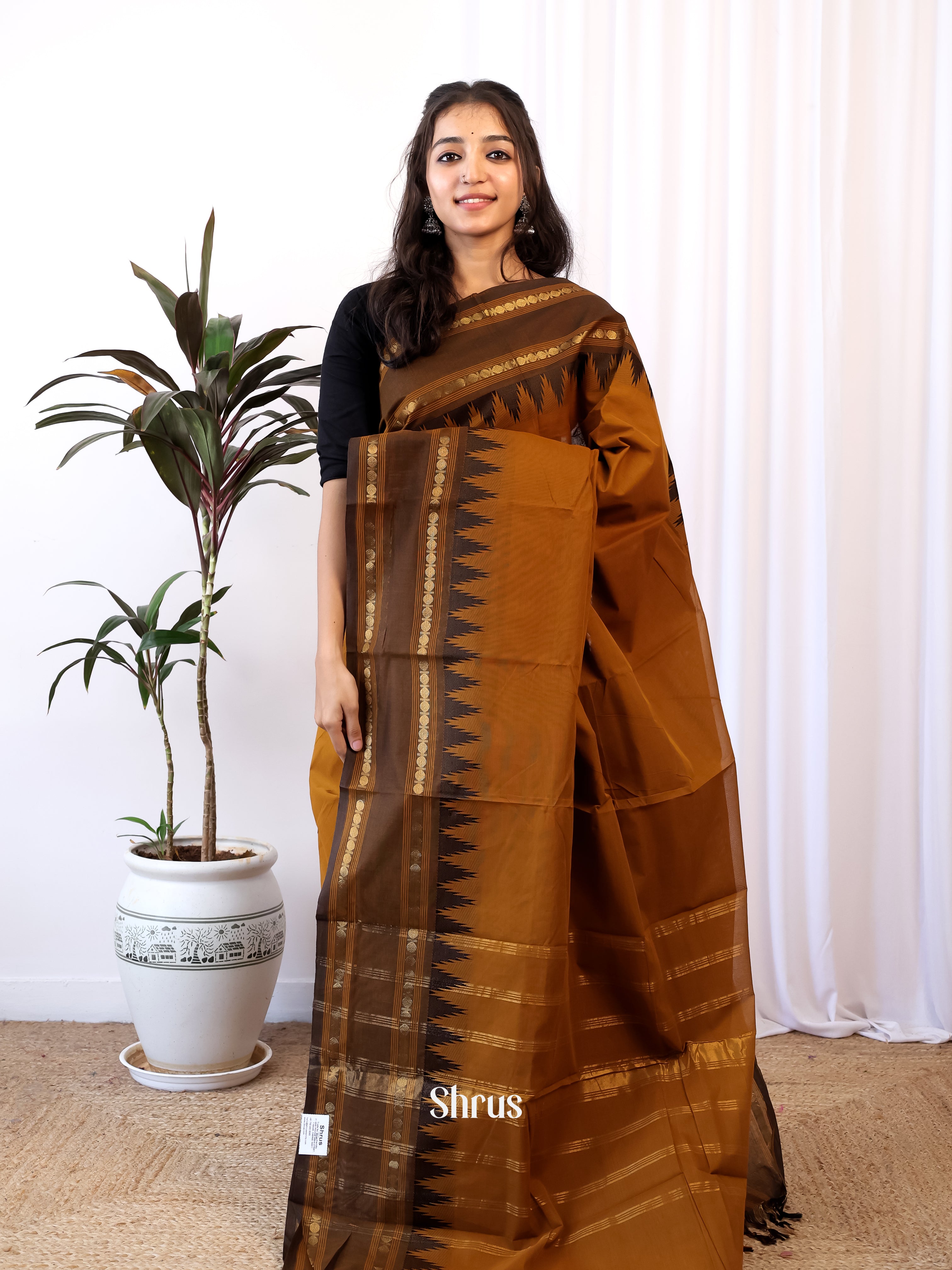 Brown - Chettinad Cotton Saree - Shop on Shrus.com