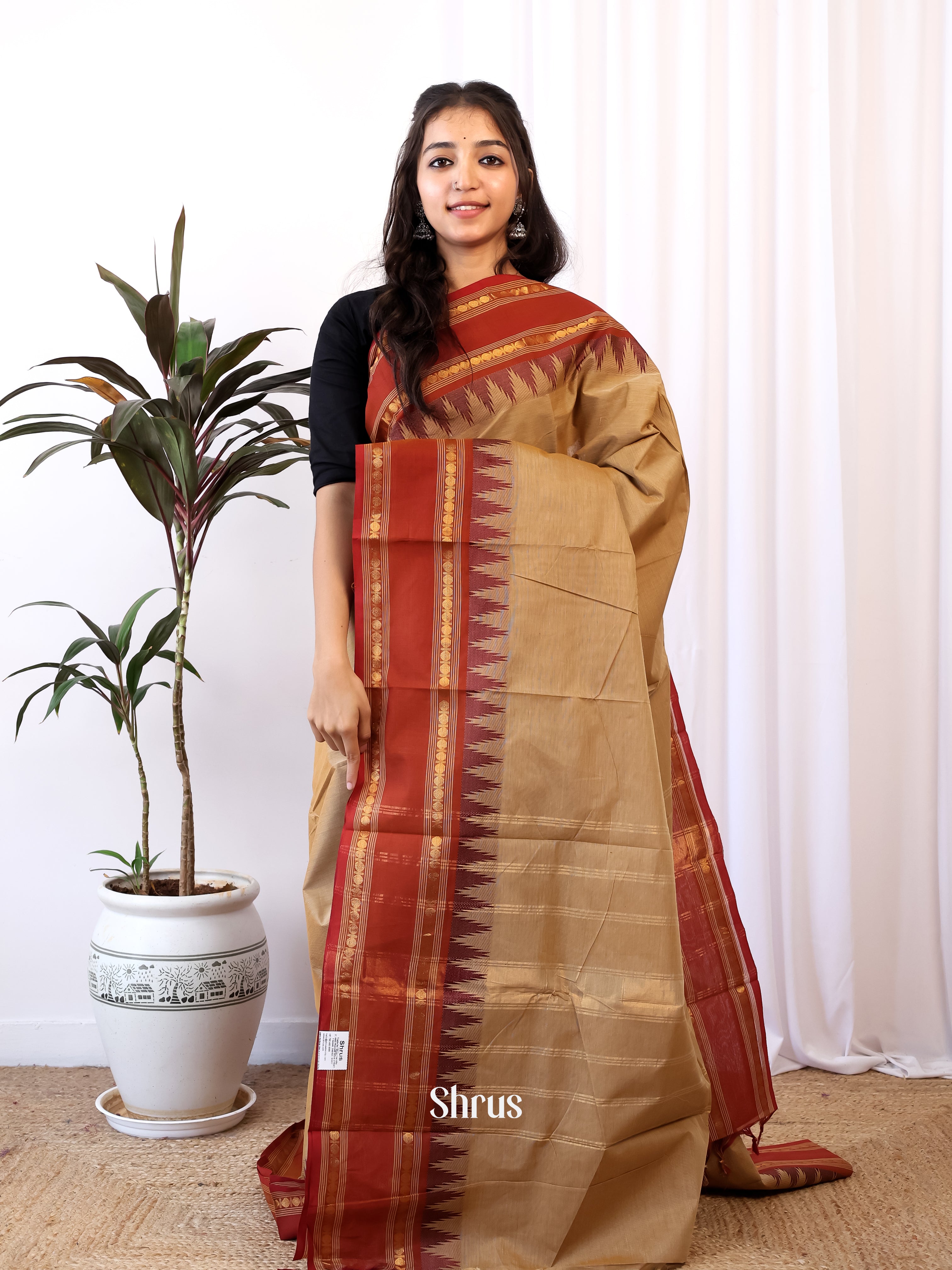 Lite Brown & Brown - Chettinad Cotton Saree - Shop on Shrus.com