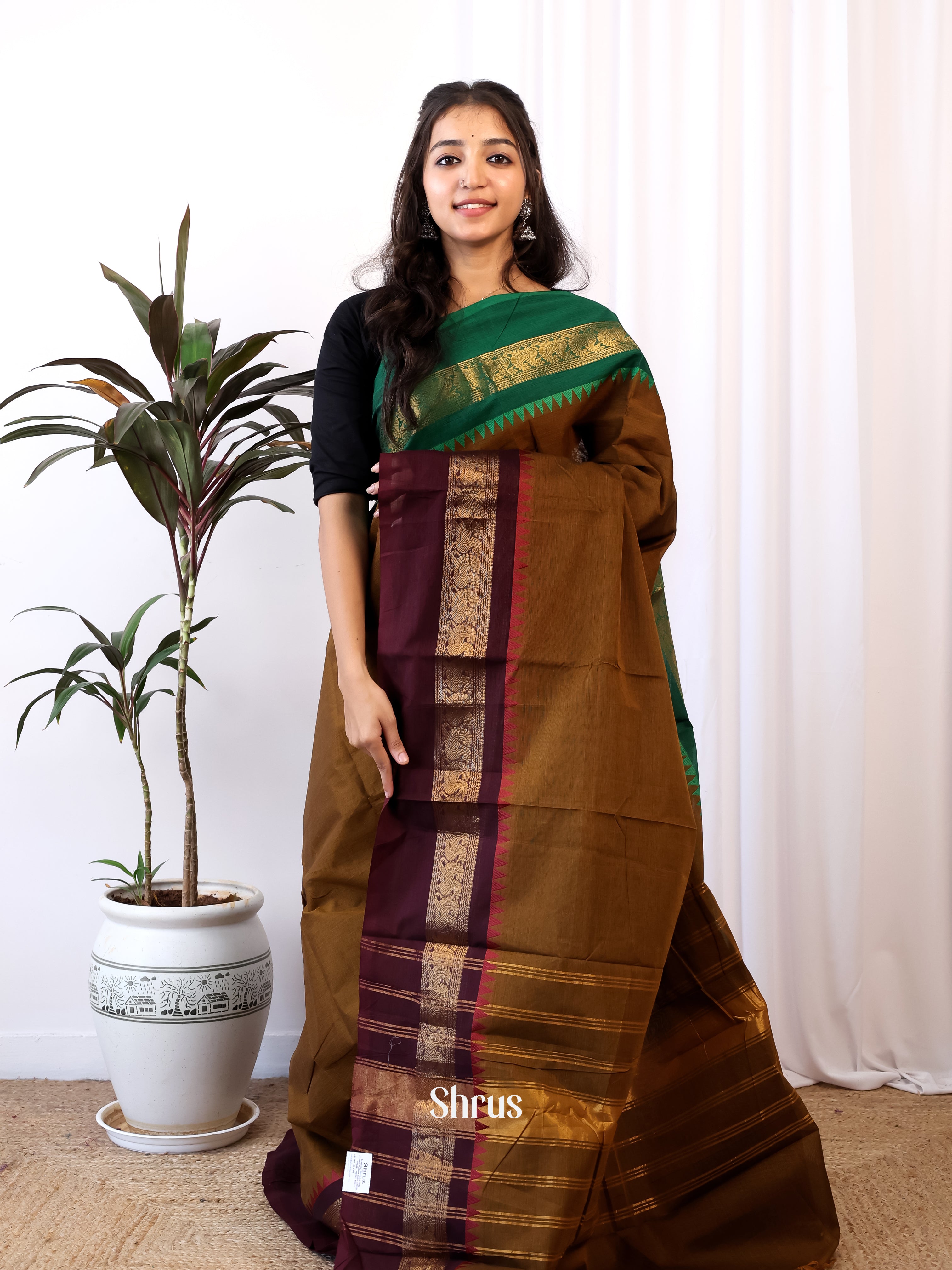 Brown & Green - Chettinad Cotton Saree - Shop on Shrus.com