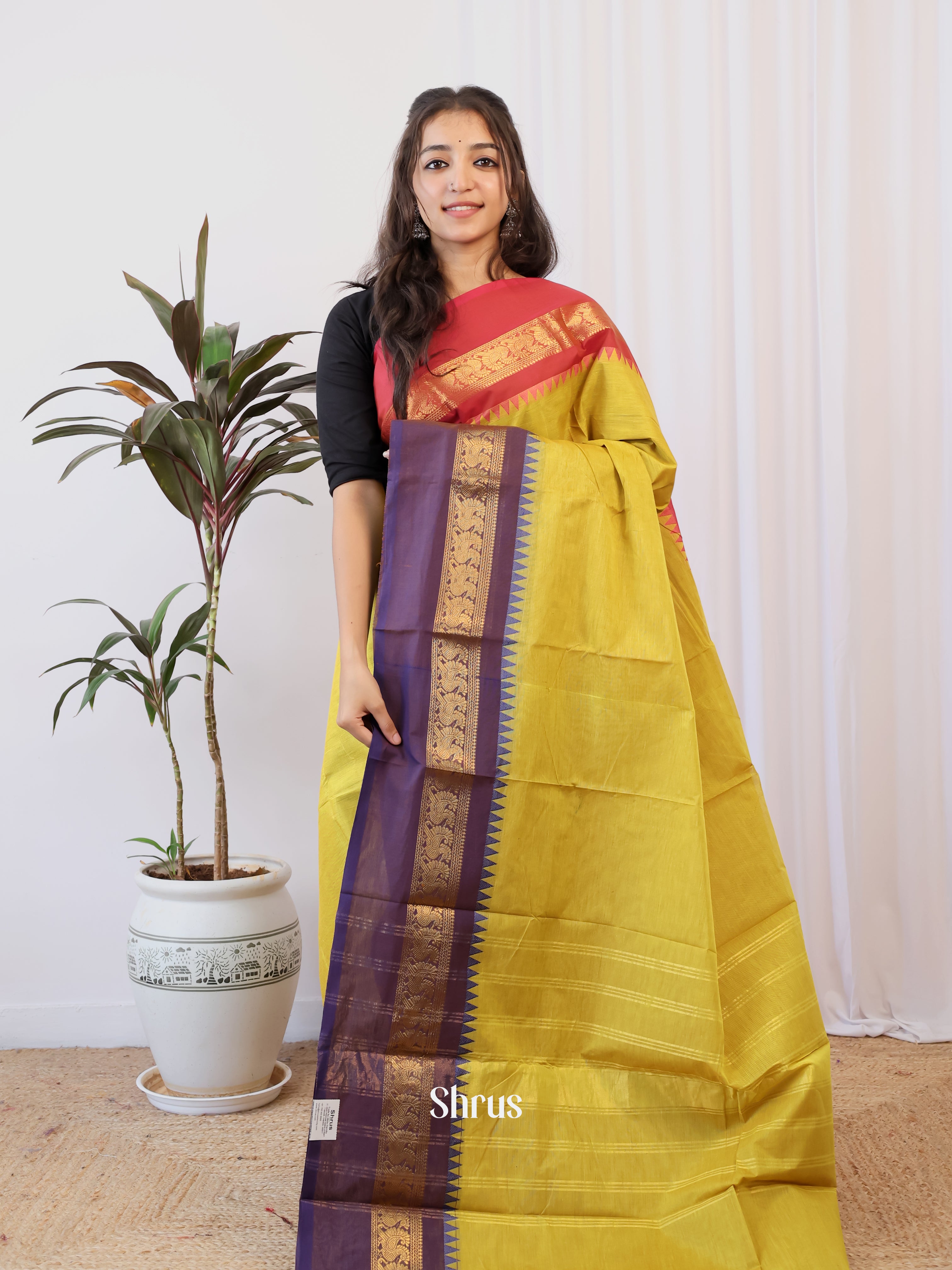Green & Purple - Chettinad Cotton Saree - Shop on Shrus.com