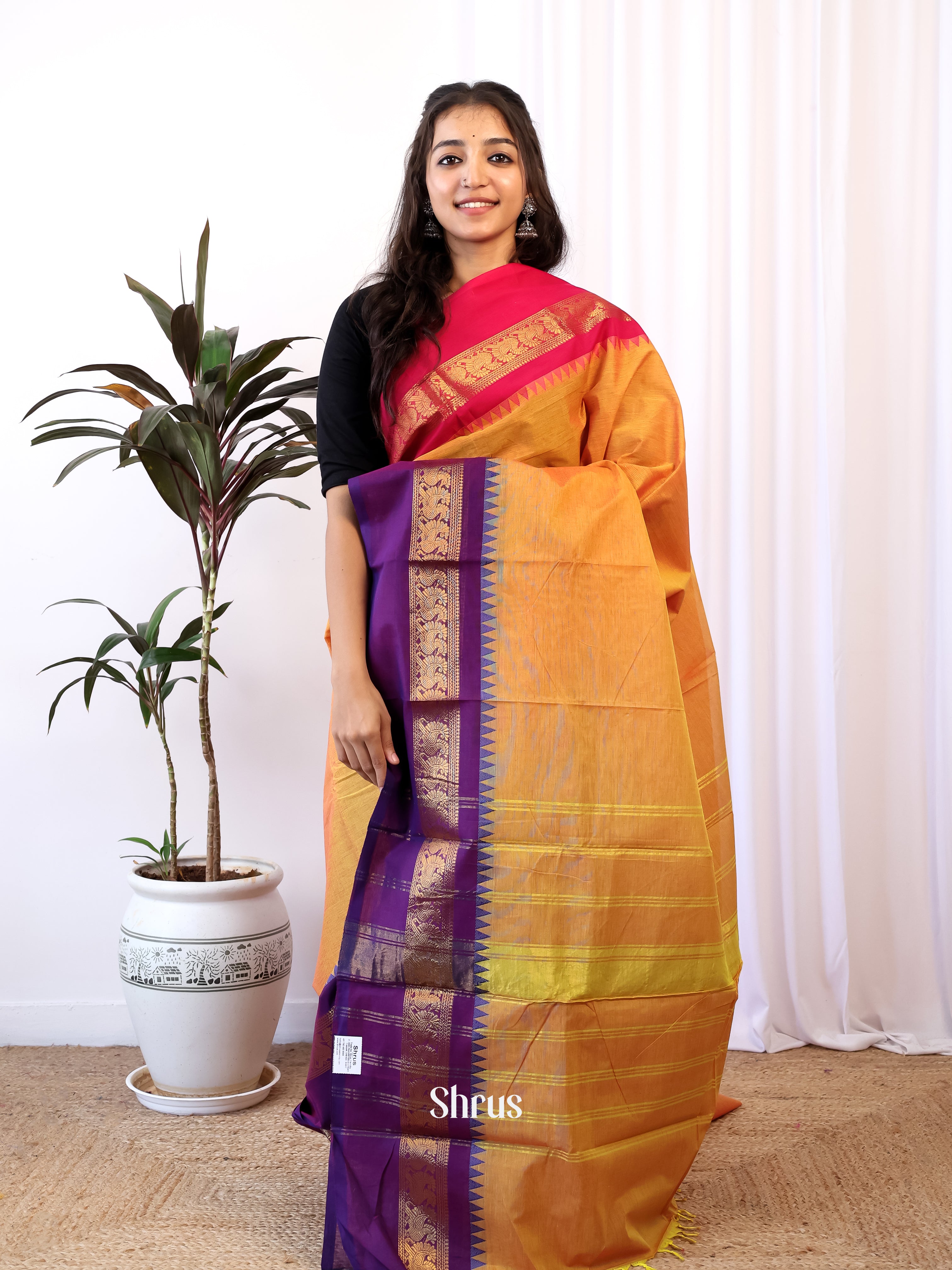 Mustard & Violet - Chettinad Cotton Saree - Shop on Shrus.com