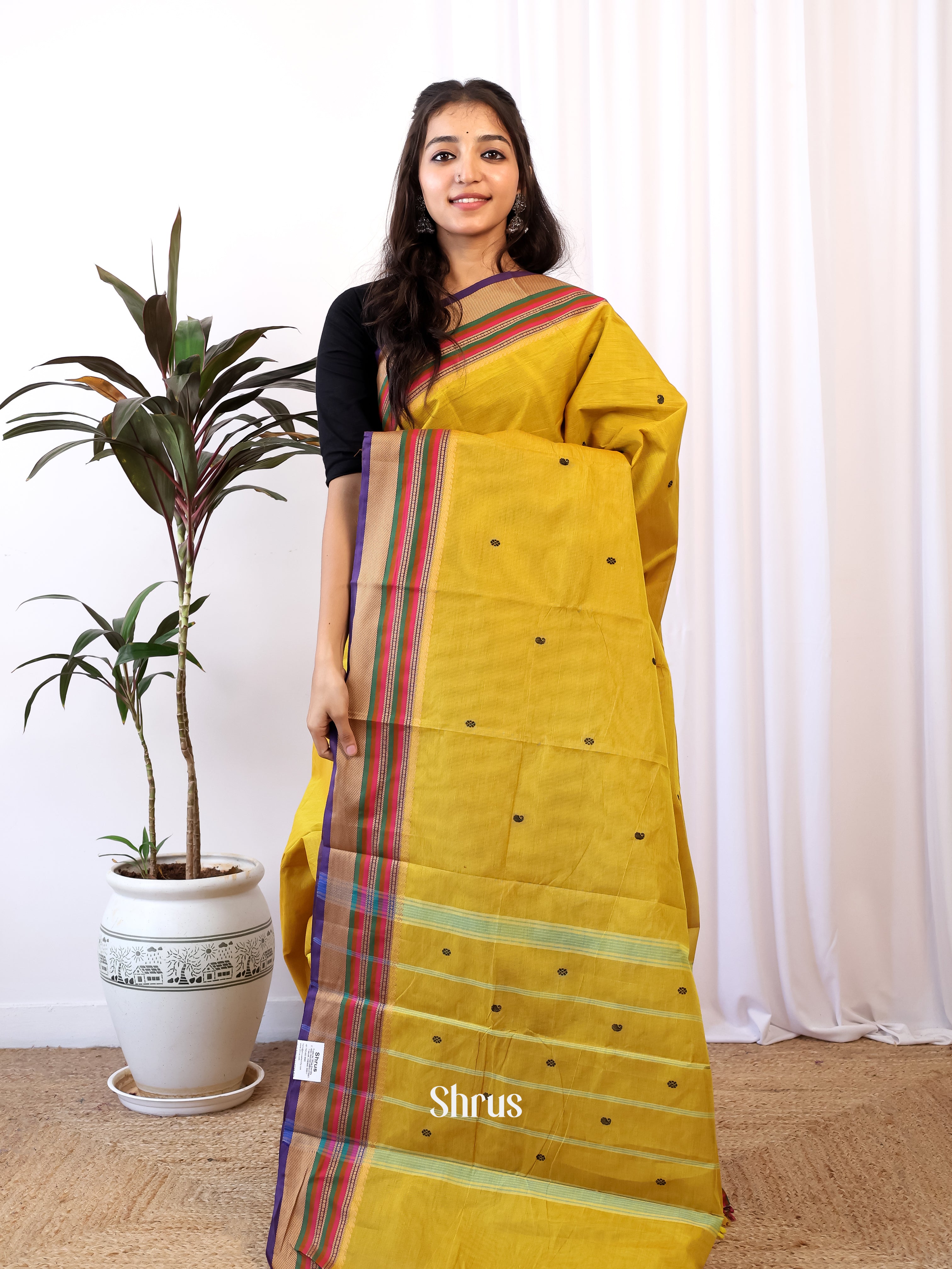 Mustardy Green & Purple - Chettinad Cotton Saree - Shop on Shrus.com