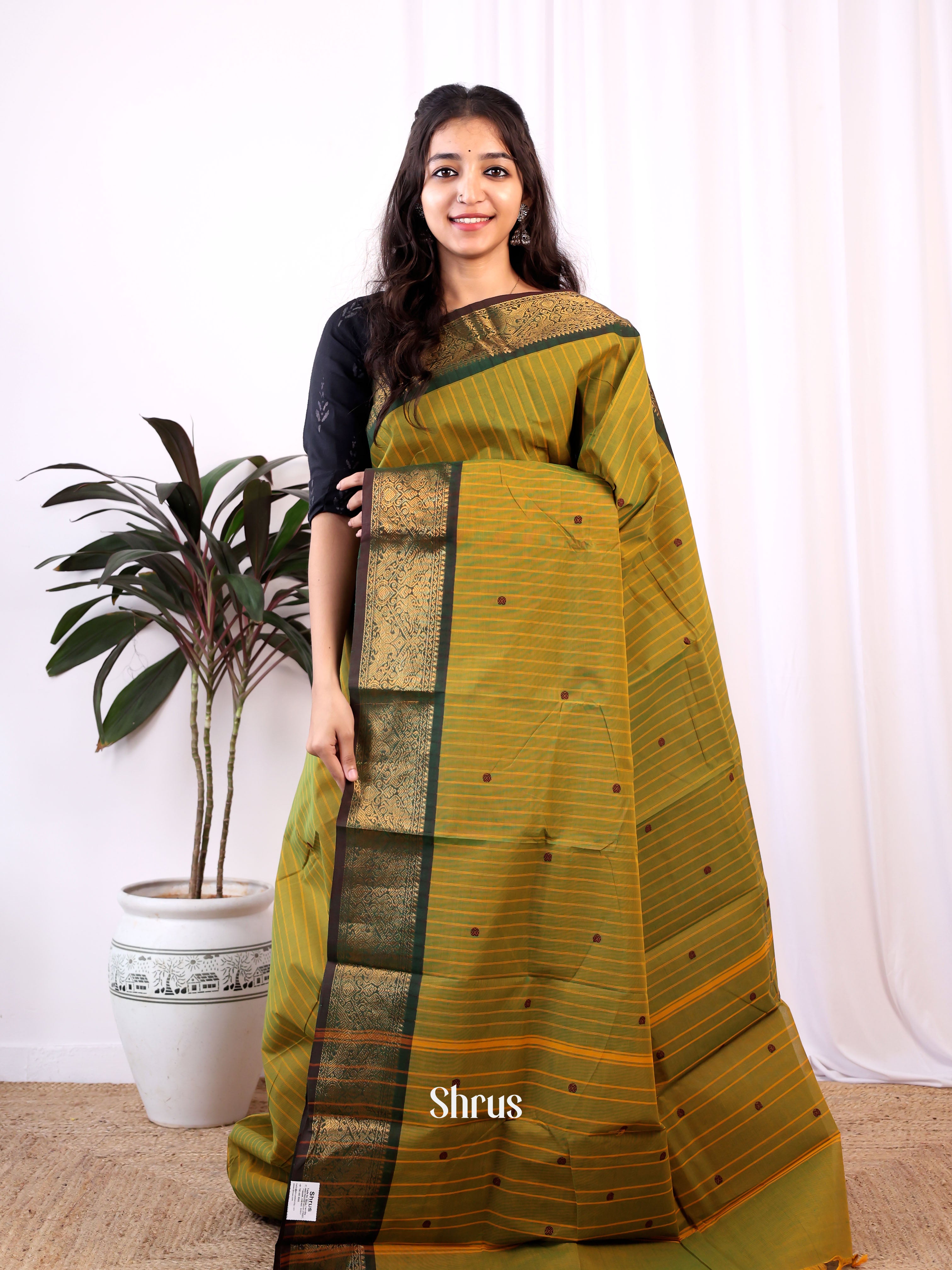 Double Shaded Green & Green - Chettinad Cotton Saree - Shop on Shrus.com