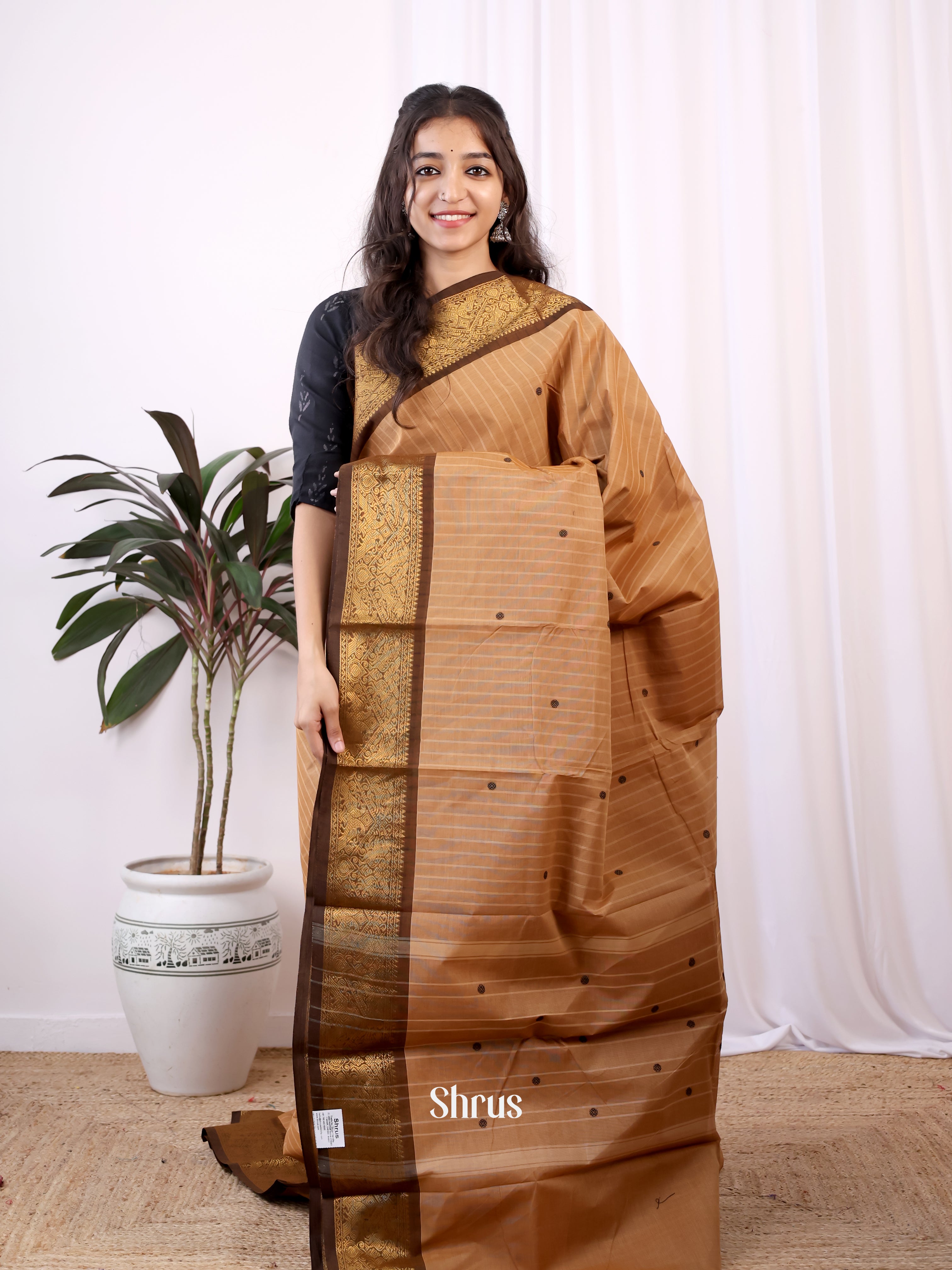 Lite Brown & Brown - Chettinad Cotton Saree - Shop on Shrus.com